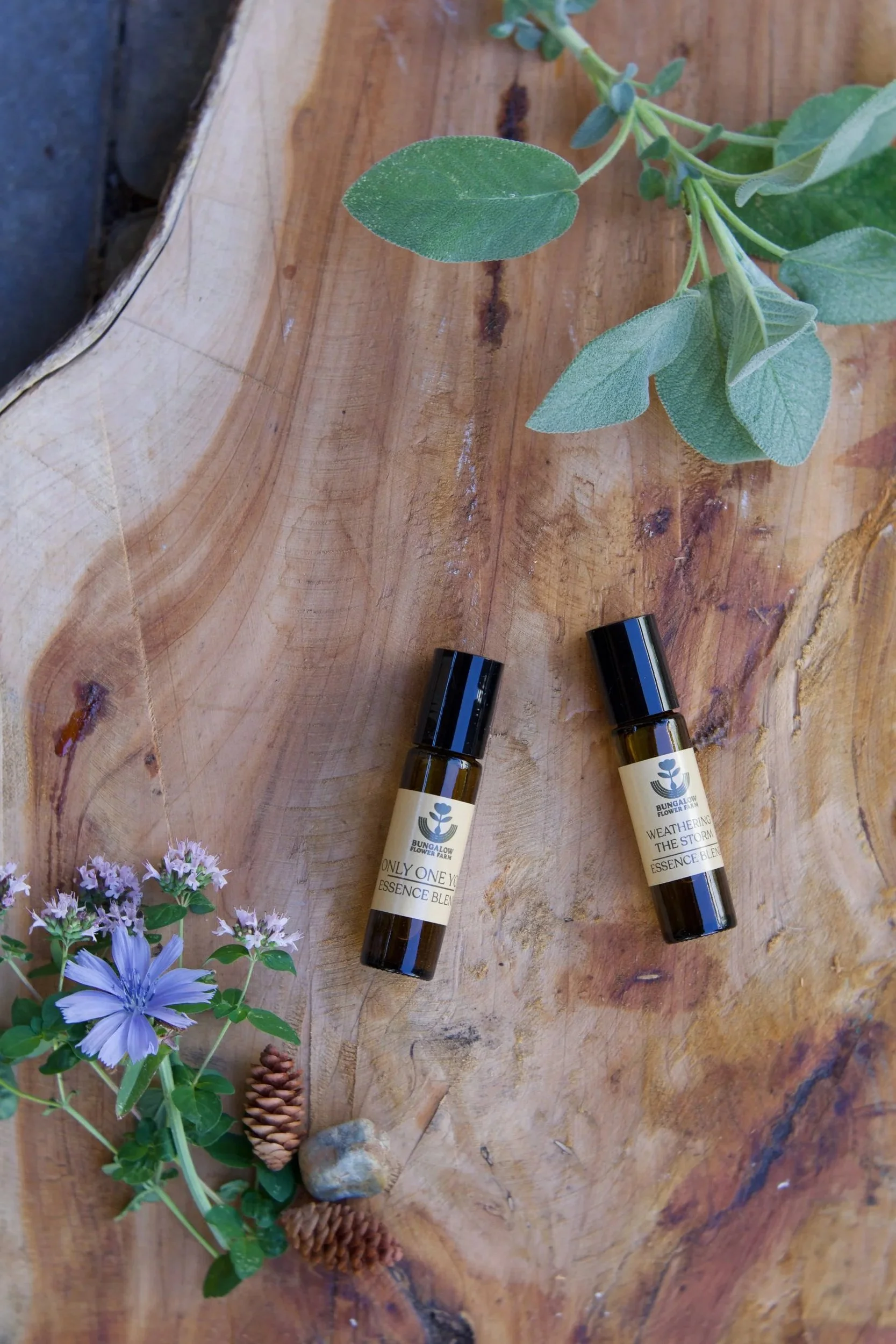 Roller Essence Formulas, Especially for Kids & Teens