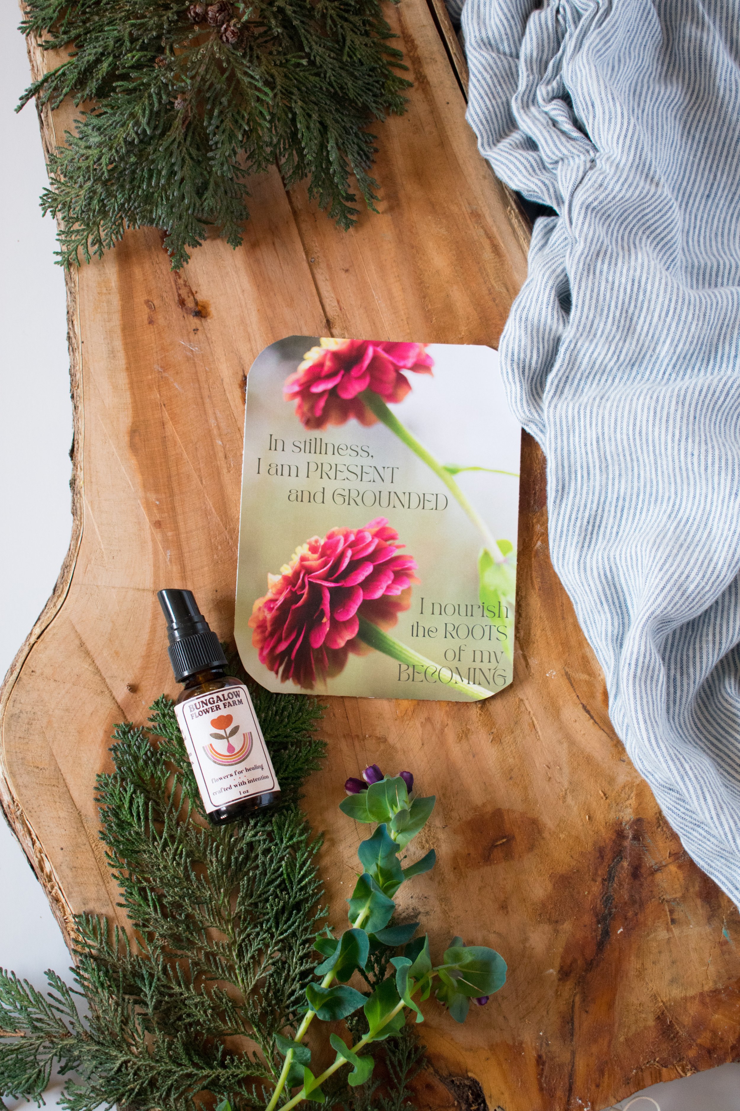 20251117-Gift Set-003-6.jpg