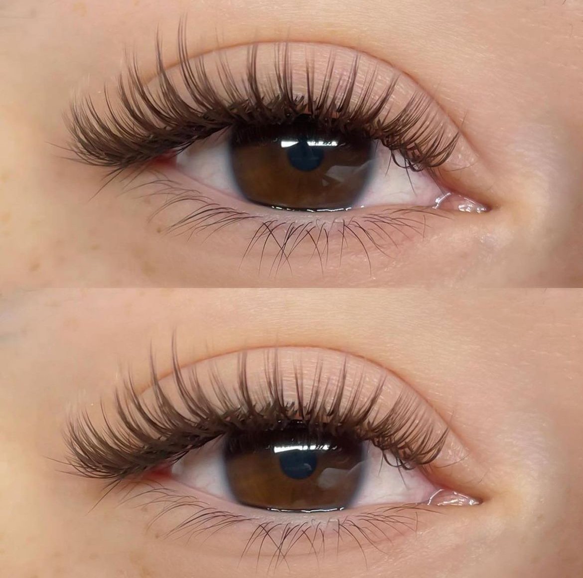 Brown New Hybrid Lashes in CC Curl