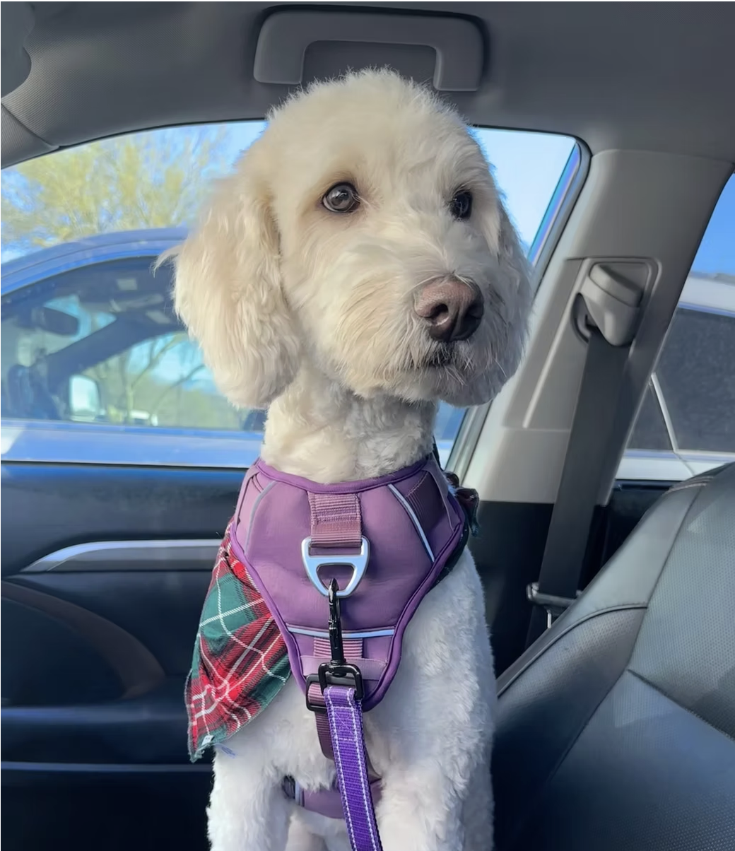 Screenshot 2026-01-27 at 1.26.32 PM.png