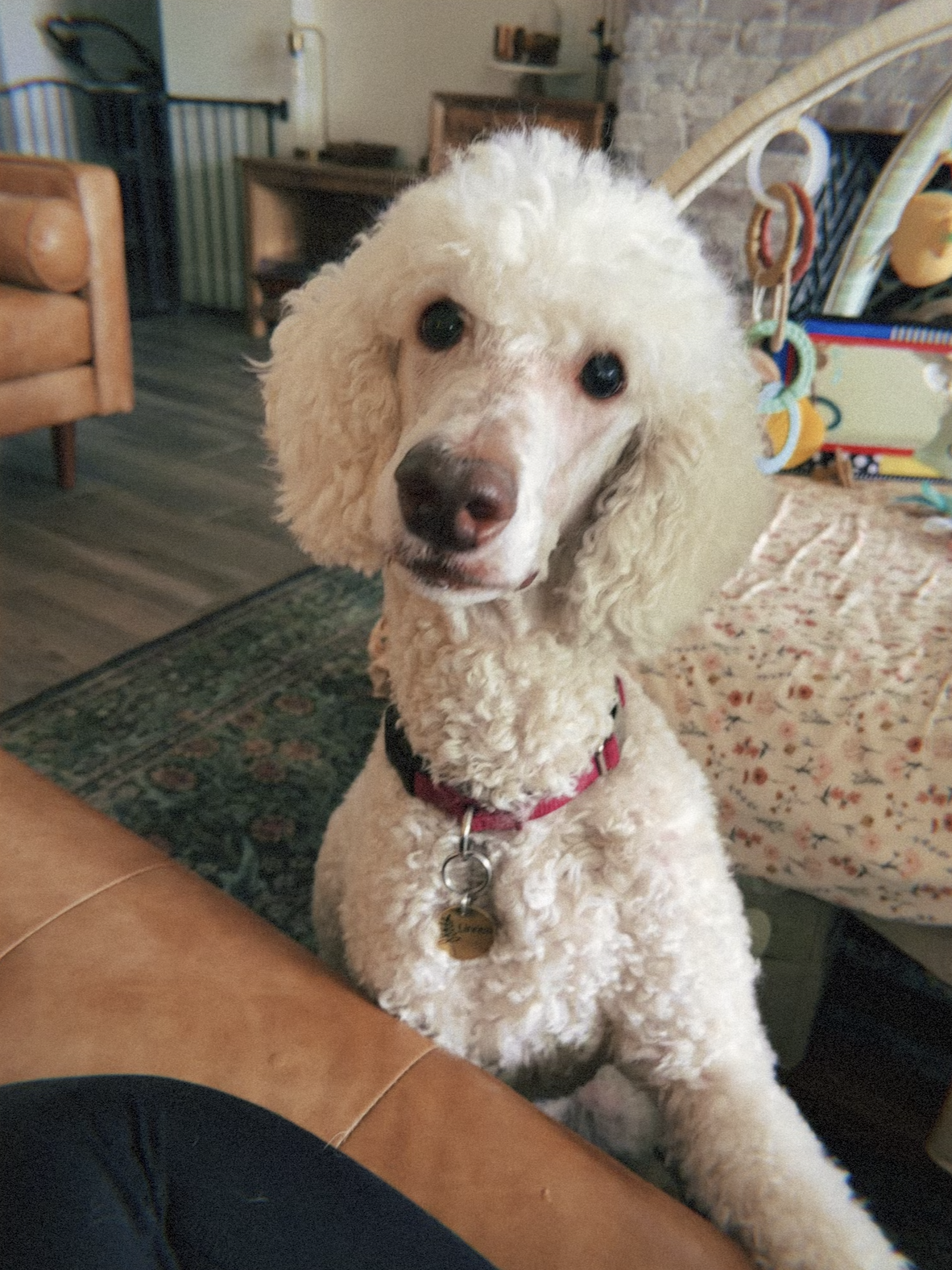 Screenshot 2026-02-20 at 3.35.18 PM.png