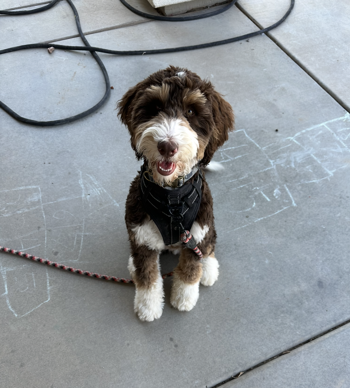 Screenshot 2026-02-20 at 3.35.34 PM.png