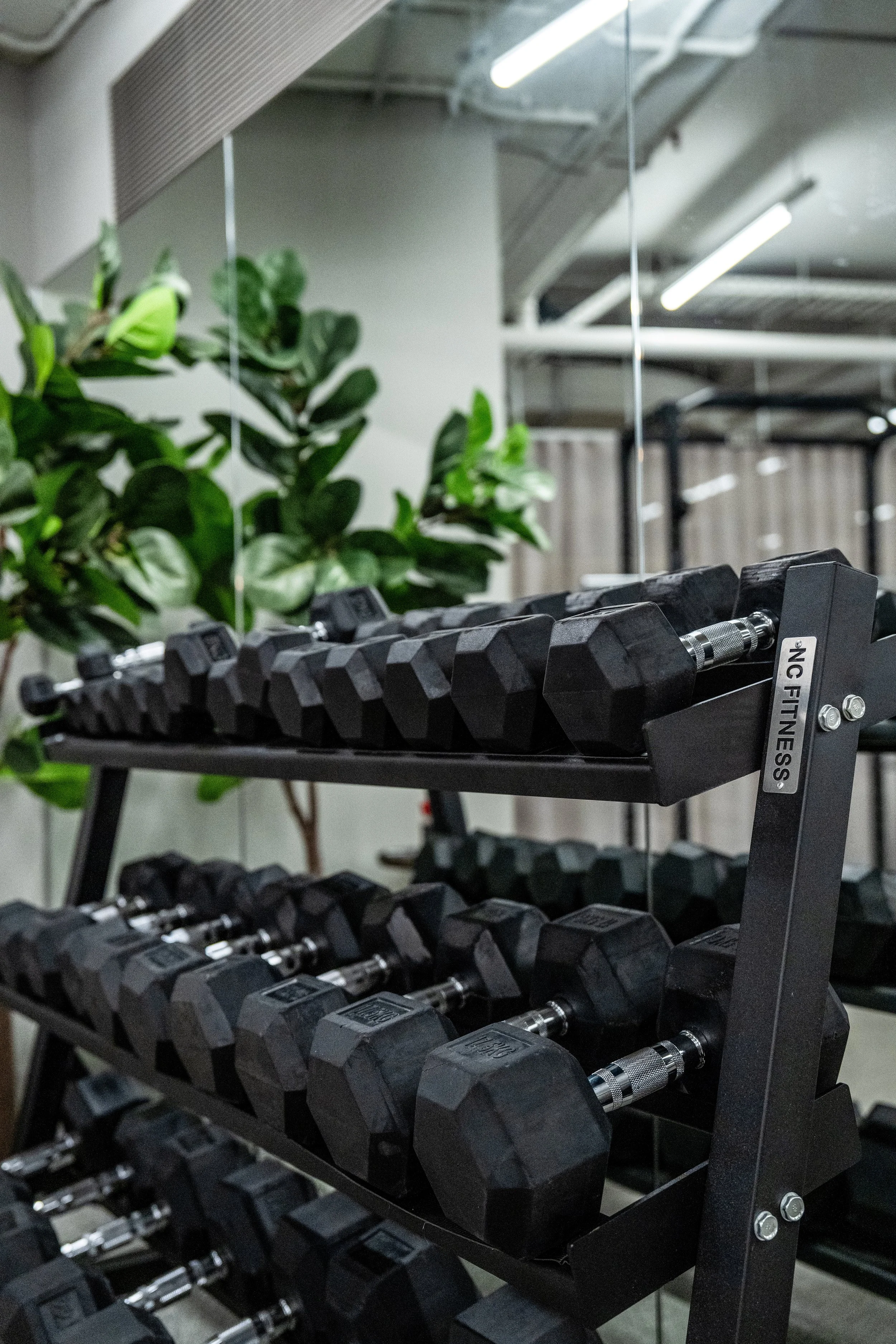 Gym Dumbbells