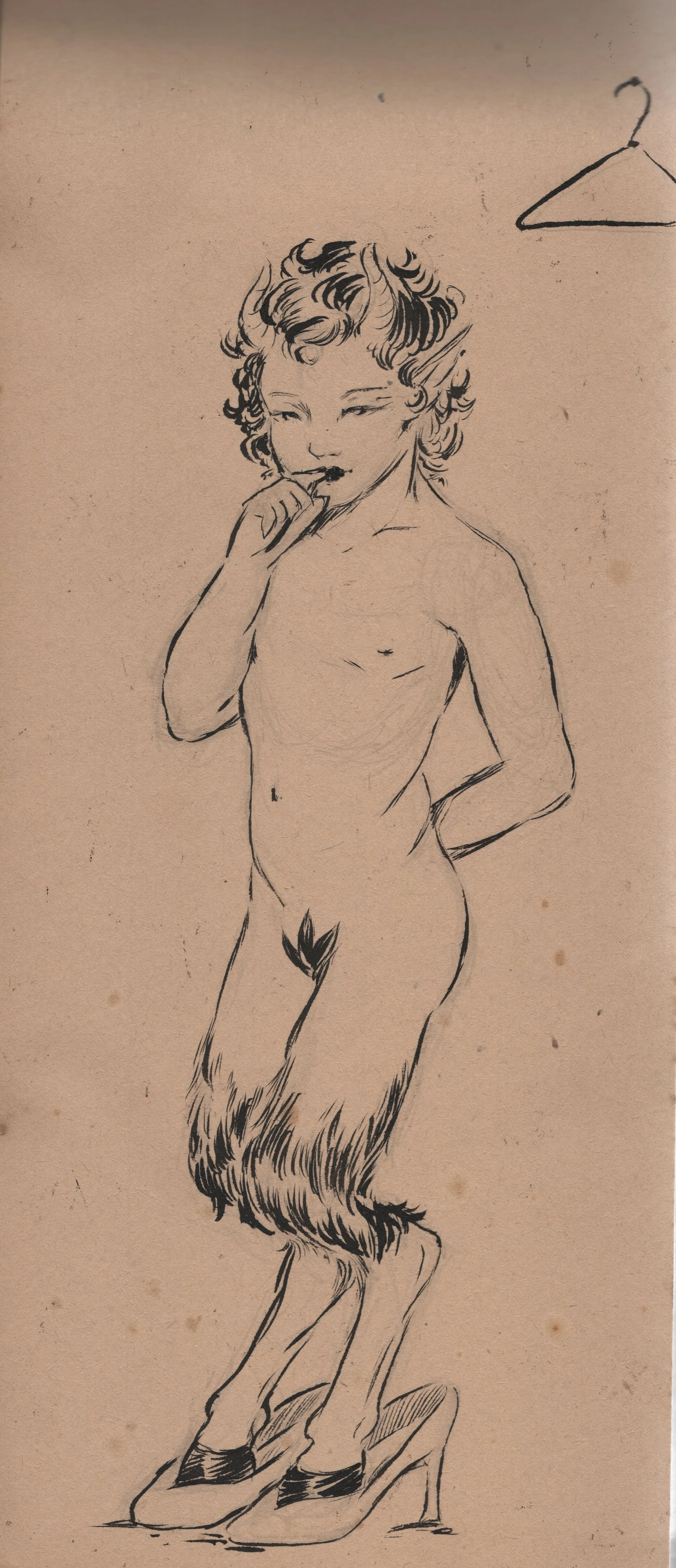 Fawn_001.jpg