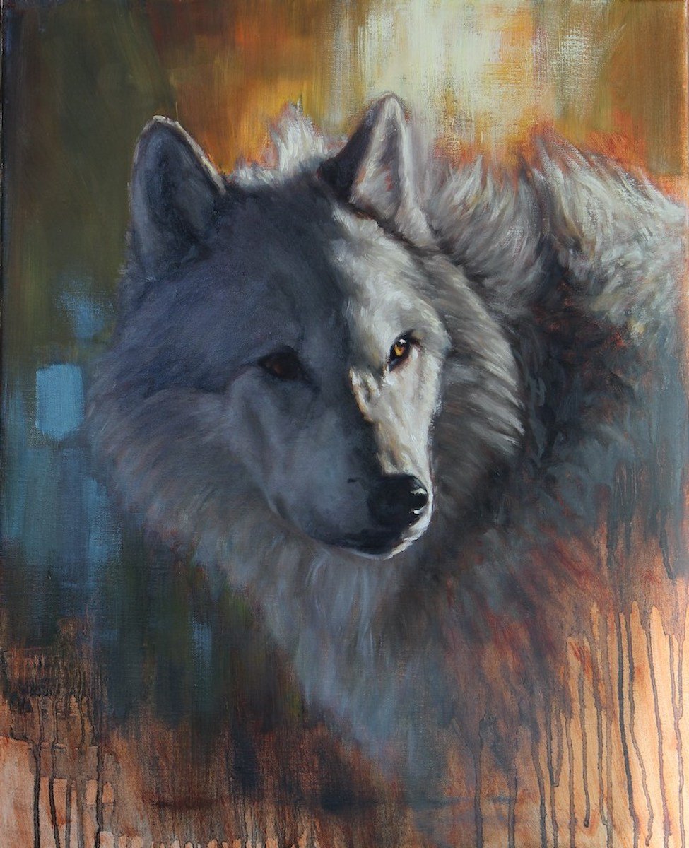 Grey Wolf Portrait I.JPG