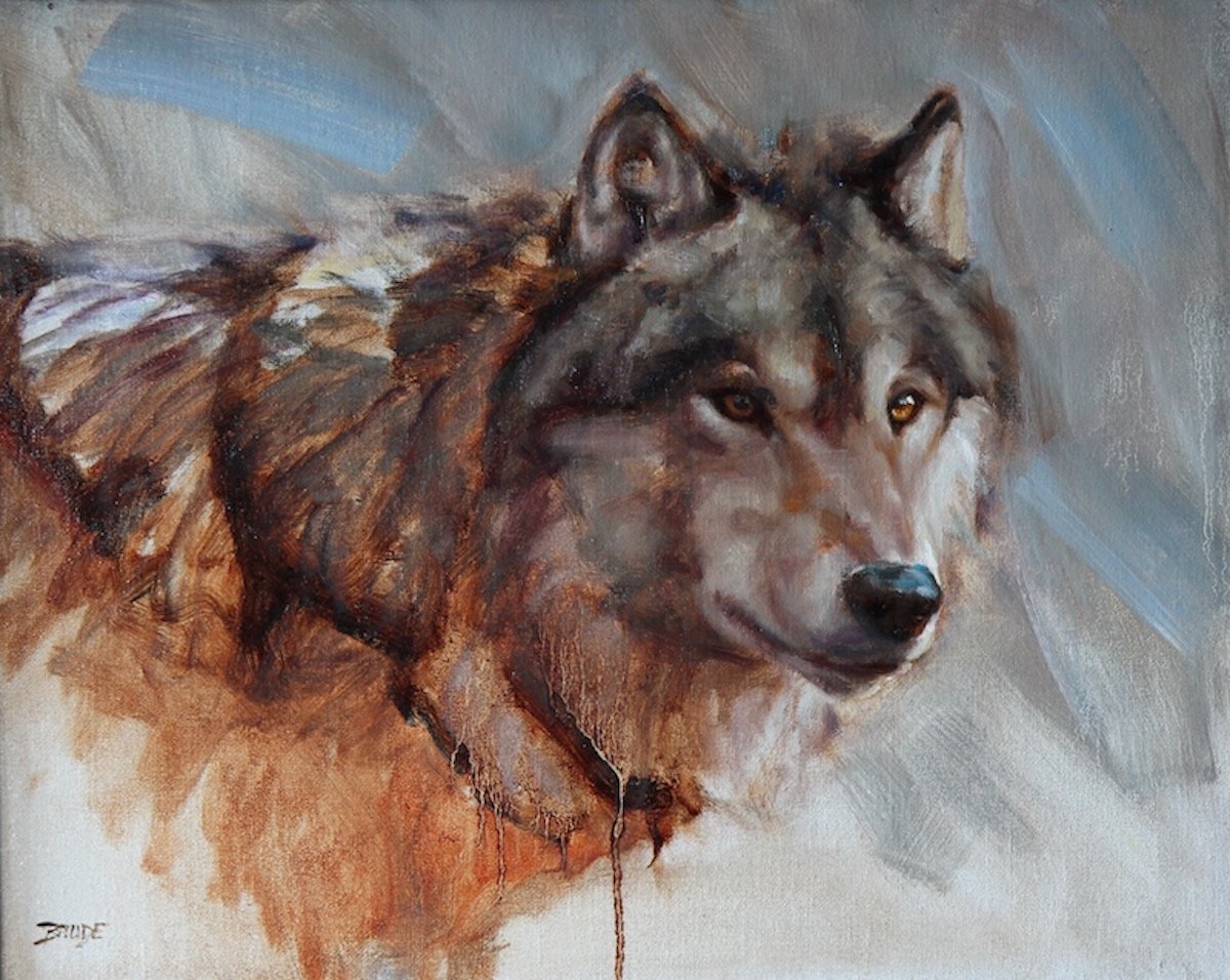 Grey wolf portrait.JPG