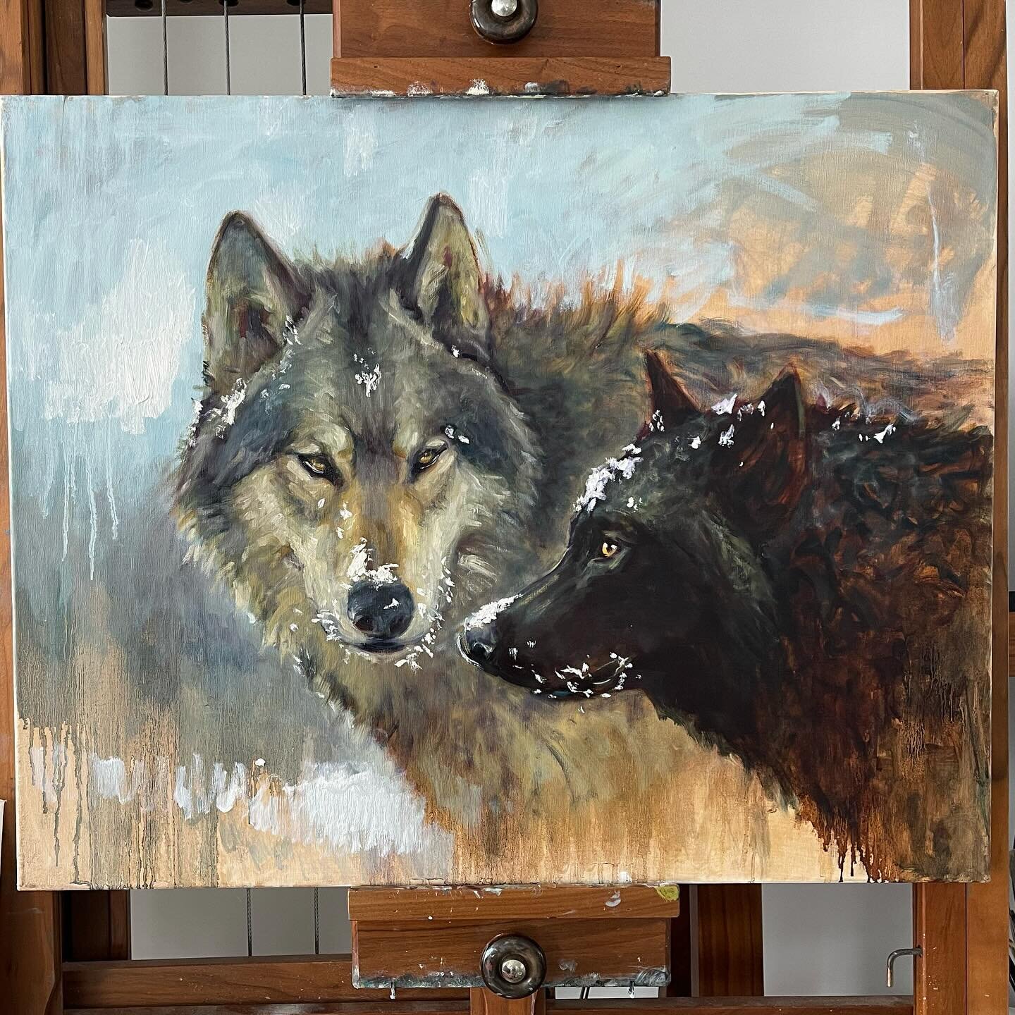 It&rsquo;s dumping snow today so I felt inspired  to add some in this painting&hellip; I bet these two will enjoy it 🤩🐺😇
Work in progress&hellip; 24x30

#create #wolves #artisthavingfun #love #snow #north #oilpainting #wild #wildlifeart #inspirati
