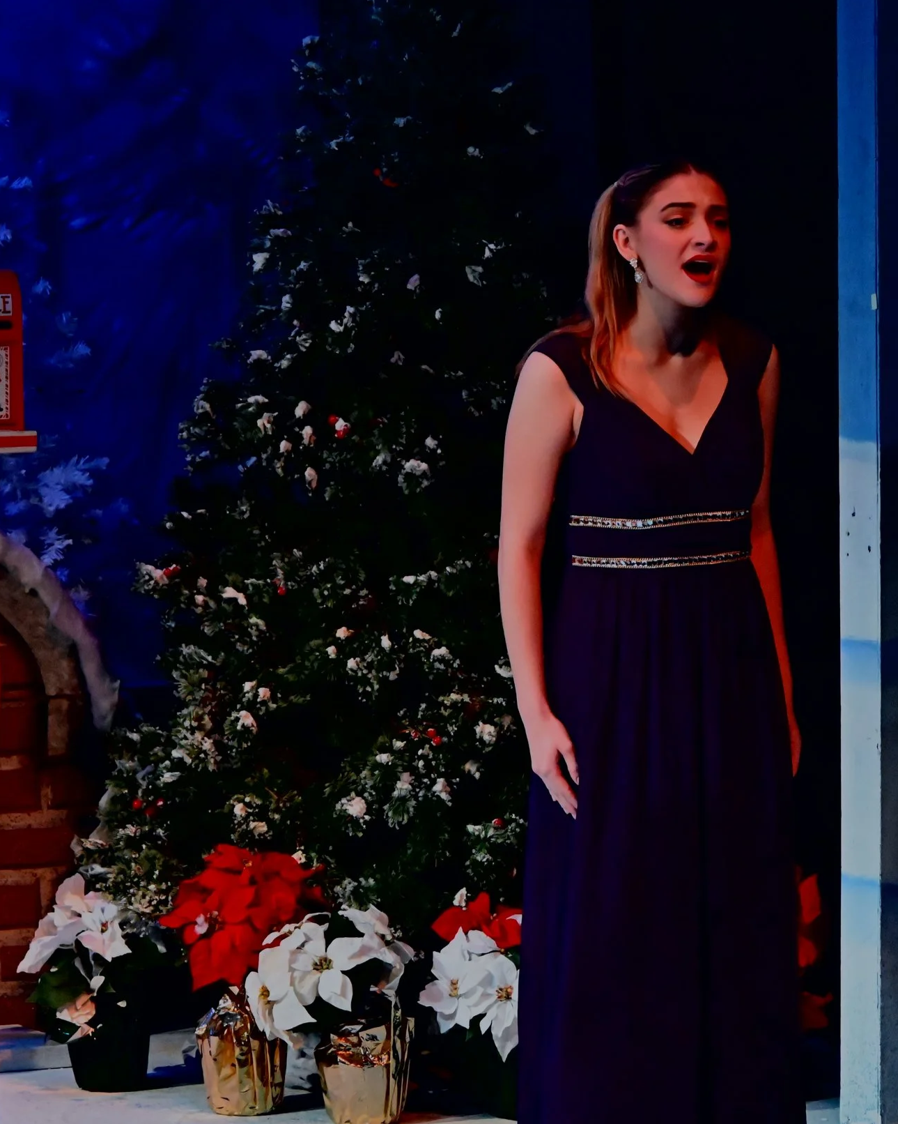 A Banner Elk Christmas