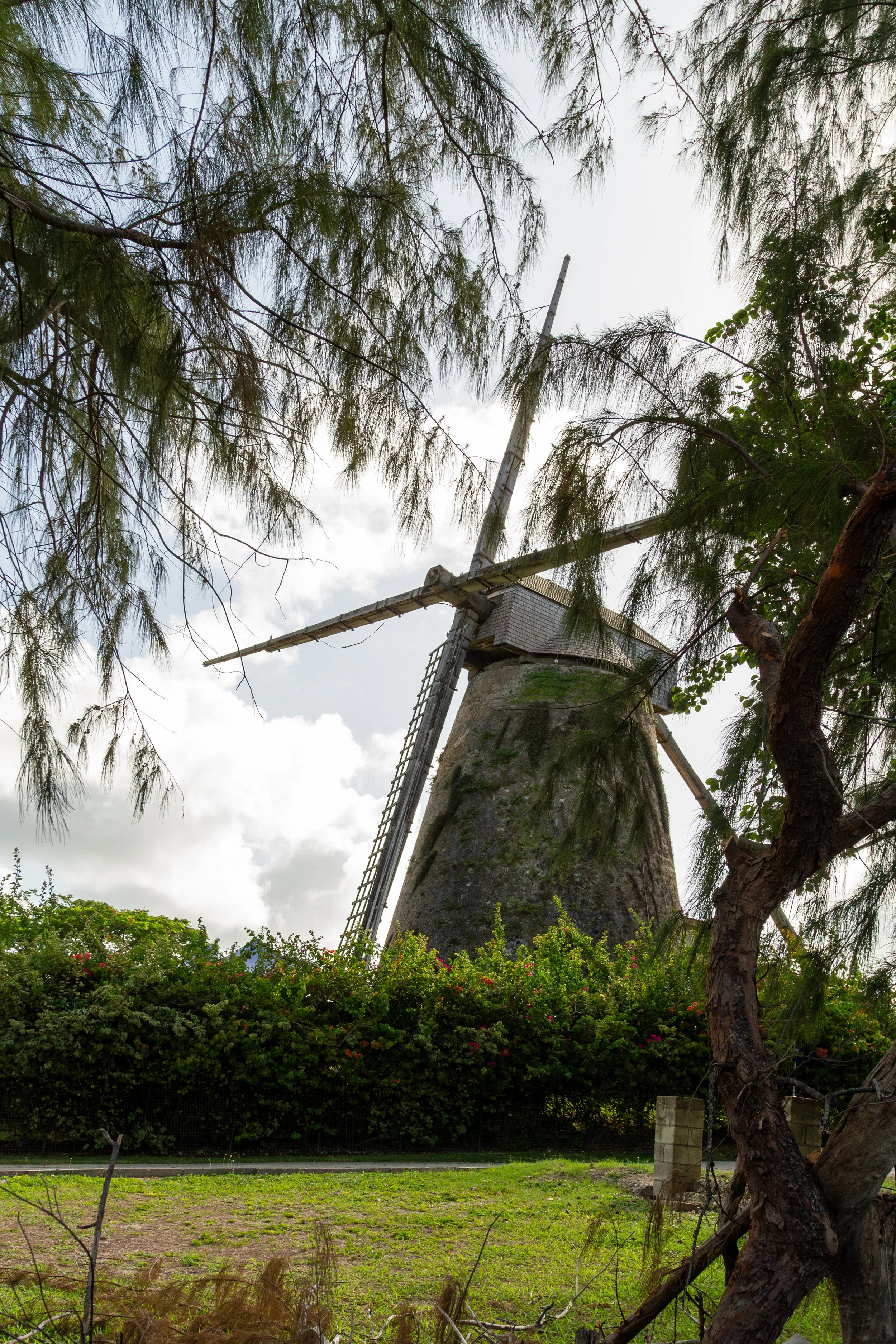 Morgan Lewis Windmill.
