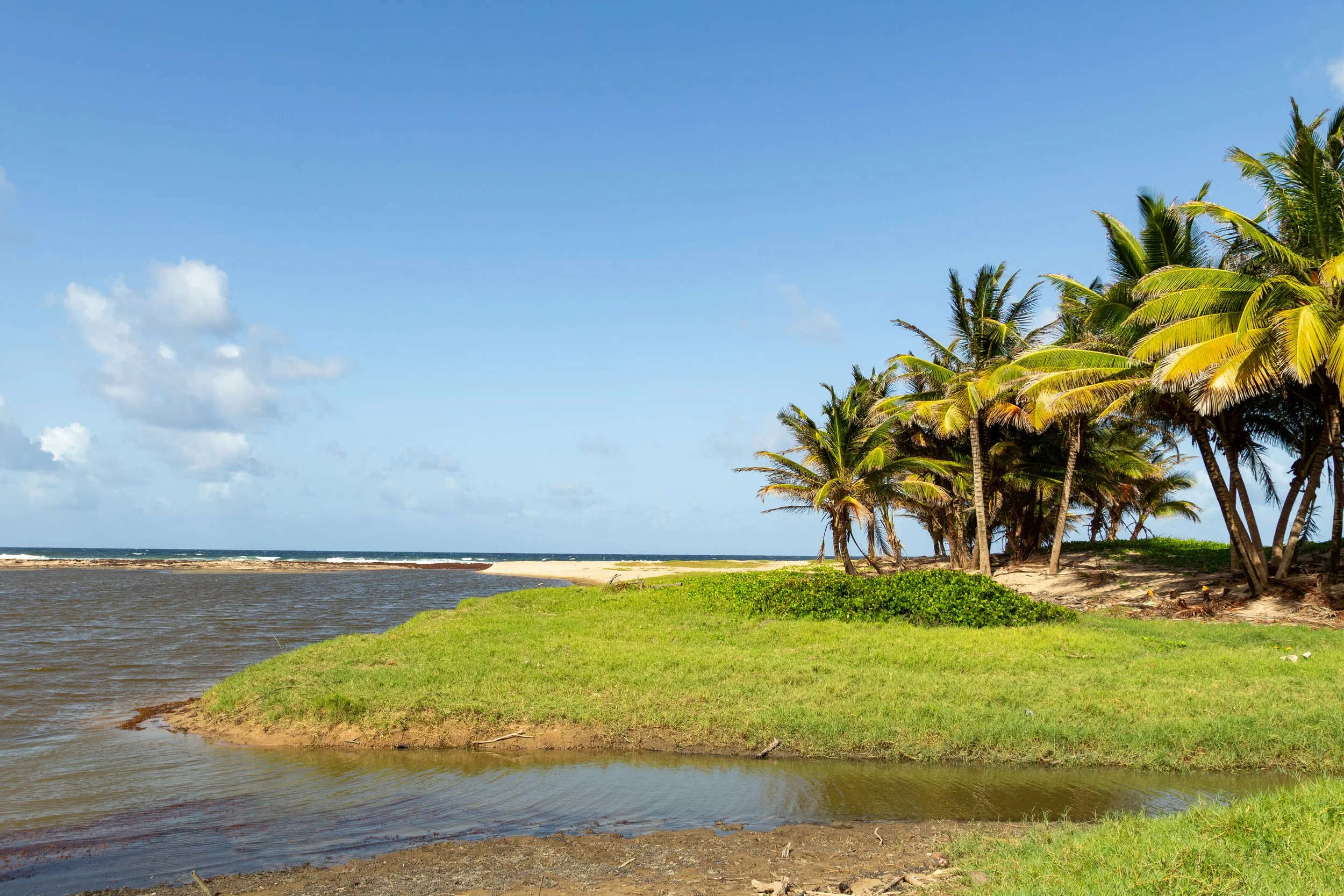 East-Coast Estuary (I)