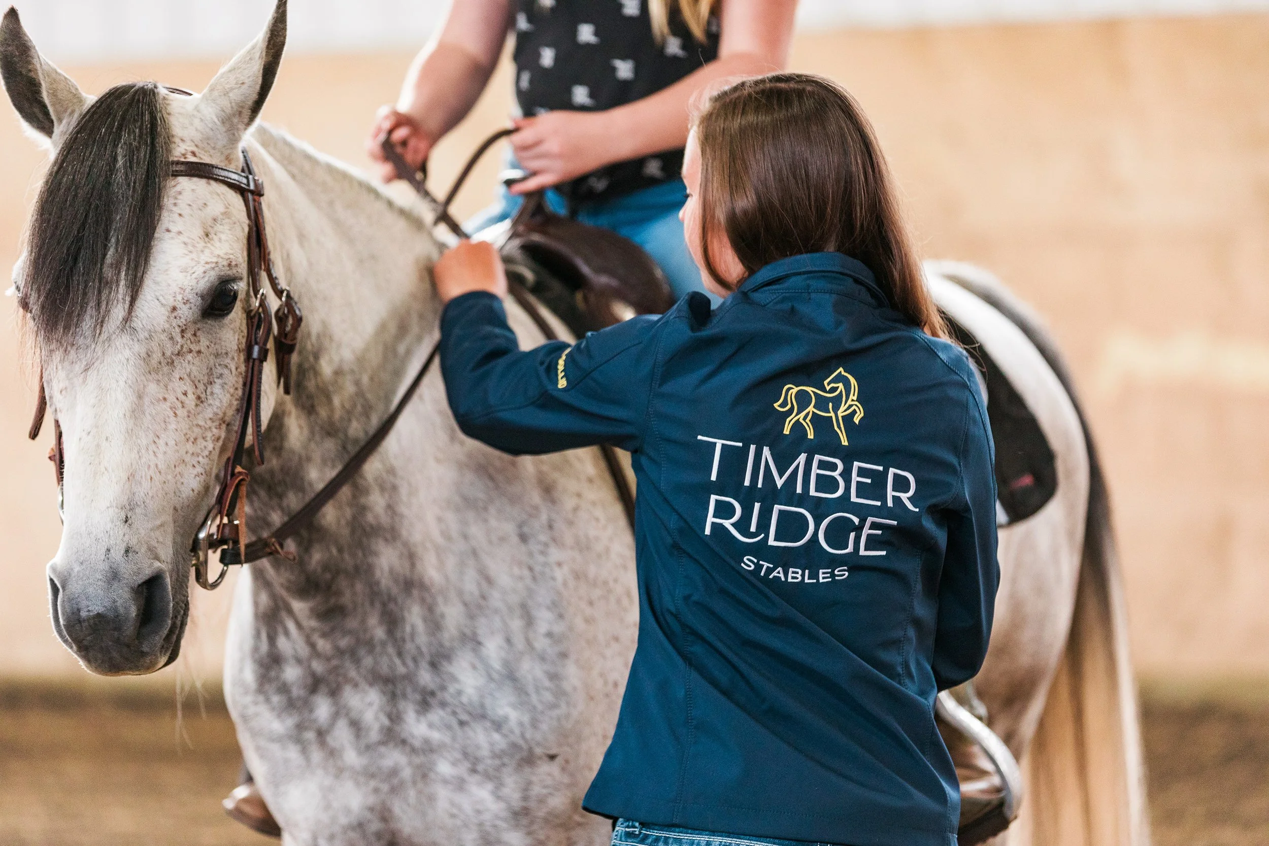 Terry Ridge Stables Timber Ridge Stables — Fella