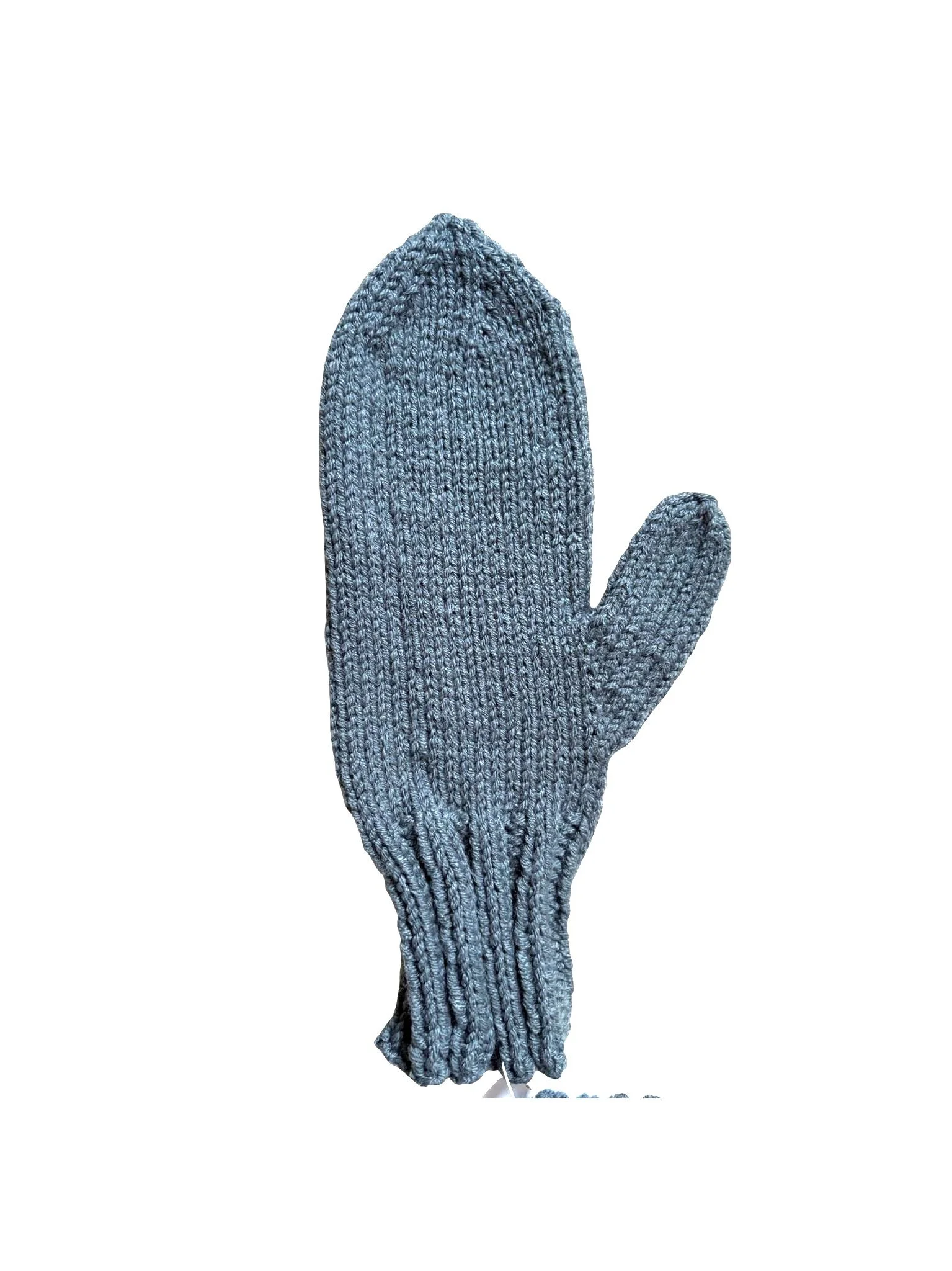 Mittens blue Medium.jpg