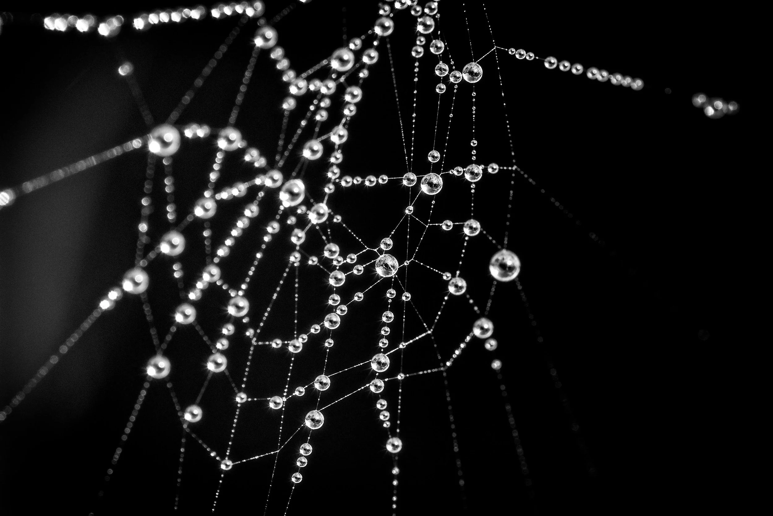 untitled (54 of 287).jpg