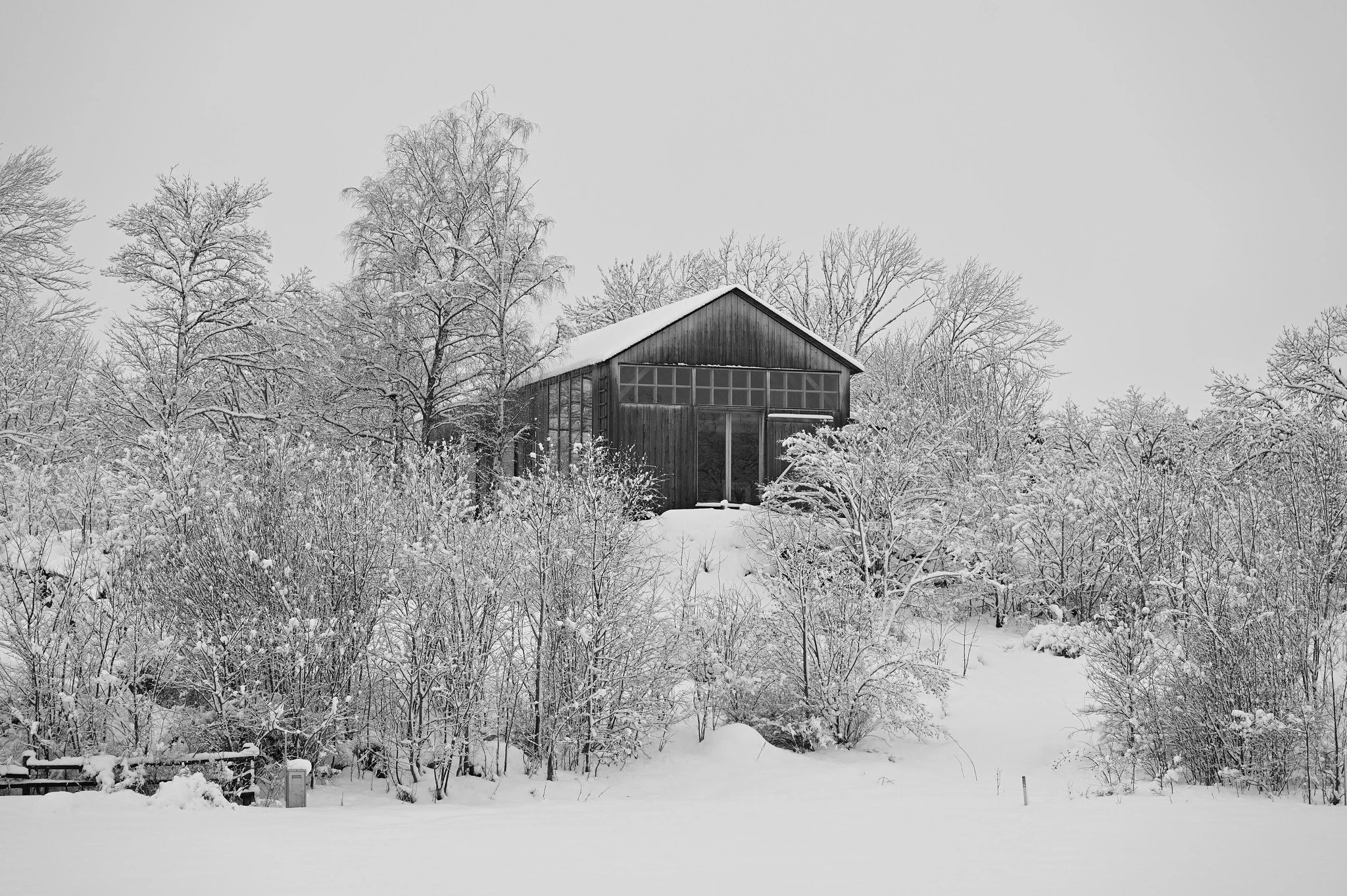Winter
