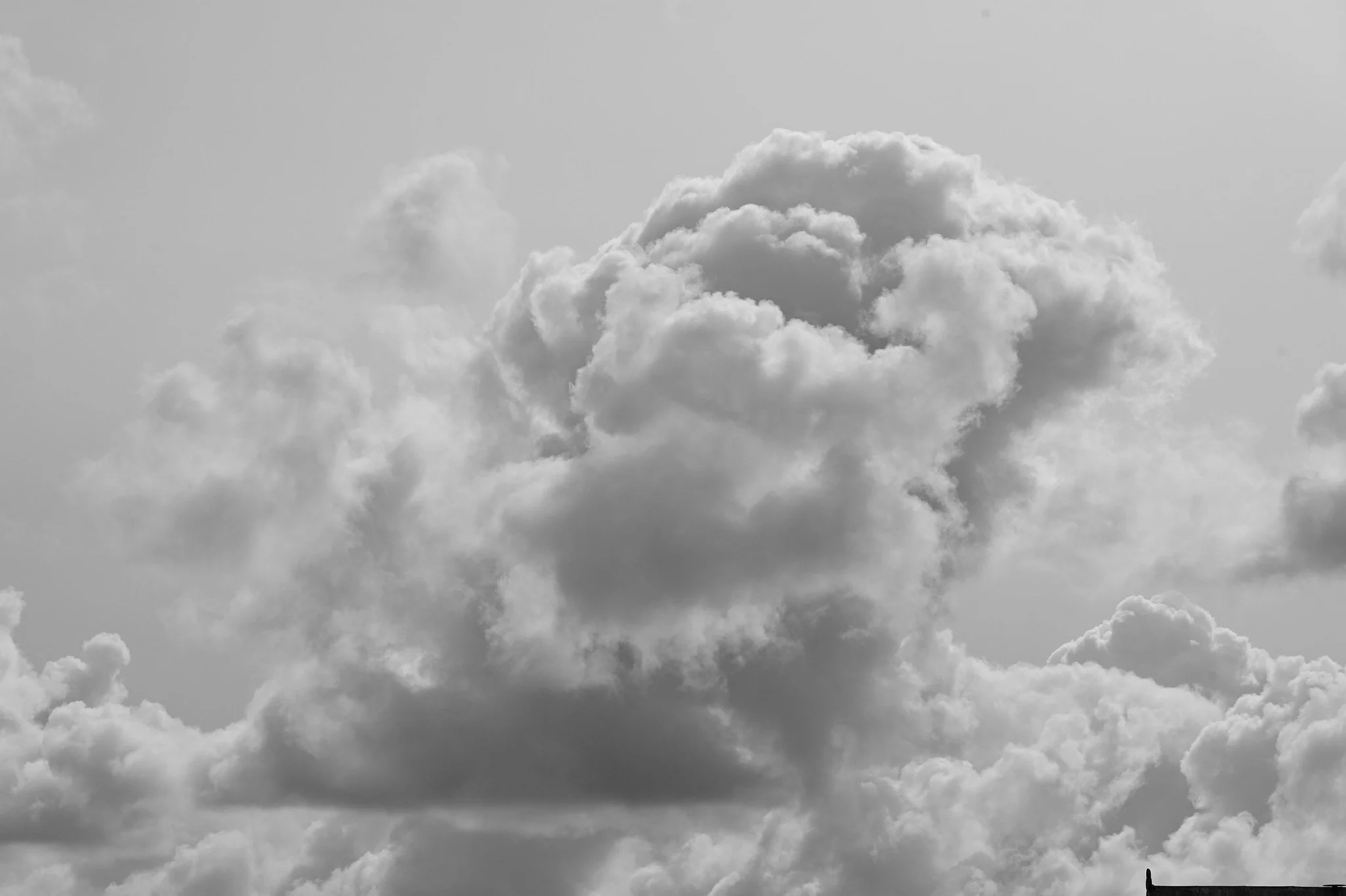 Silver cloud