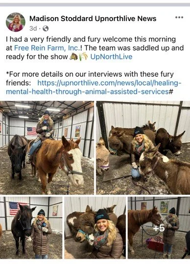 UpNorth Live pic.jpg