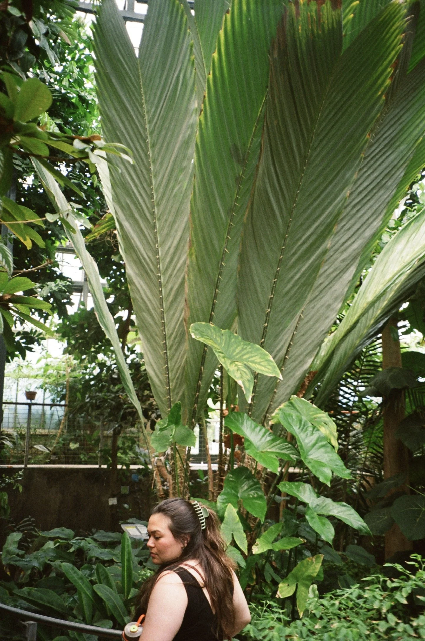 Emily, The Huntington Library 2022 