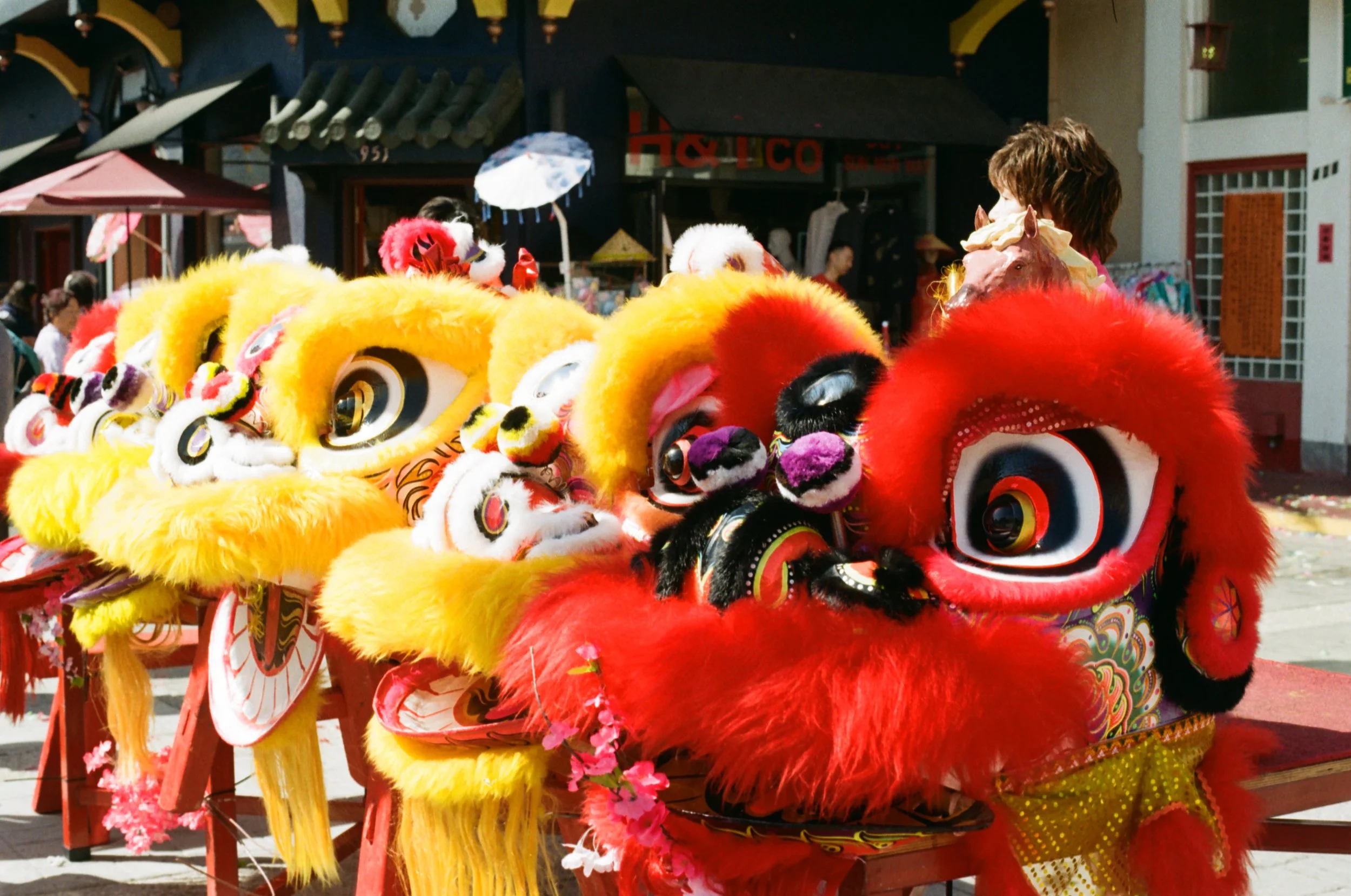 Shot with Olympus, Kodak Gold 200, 2026