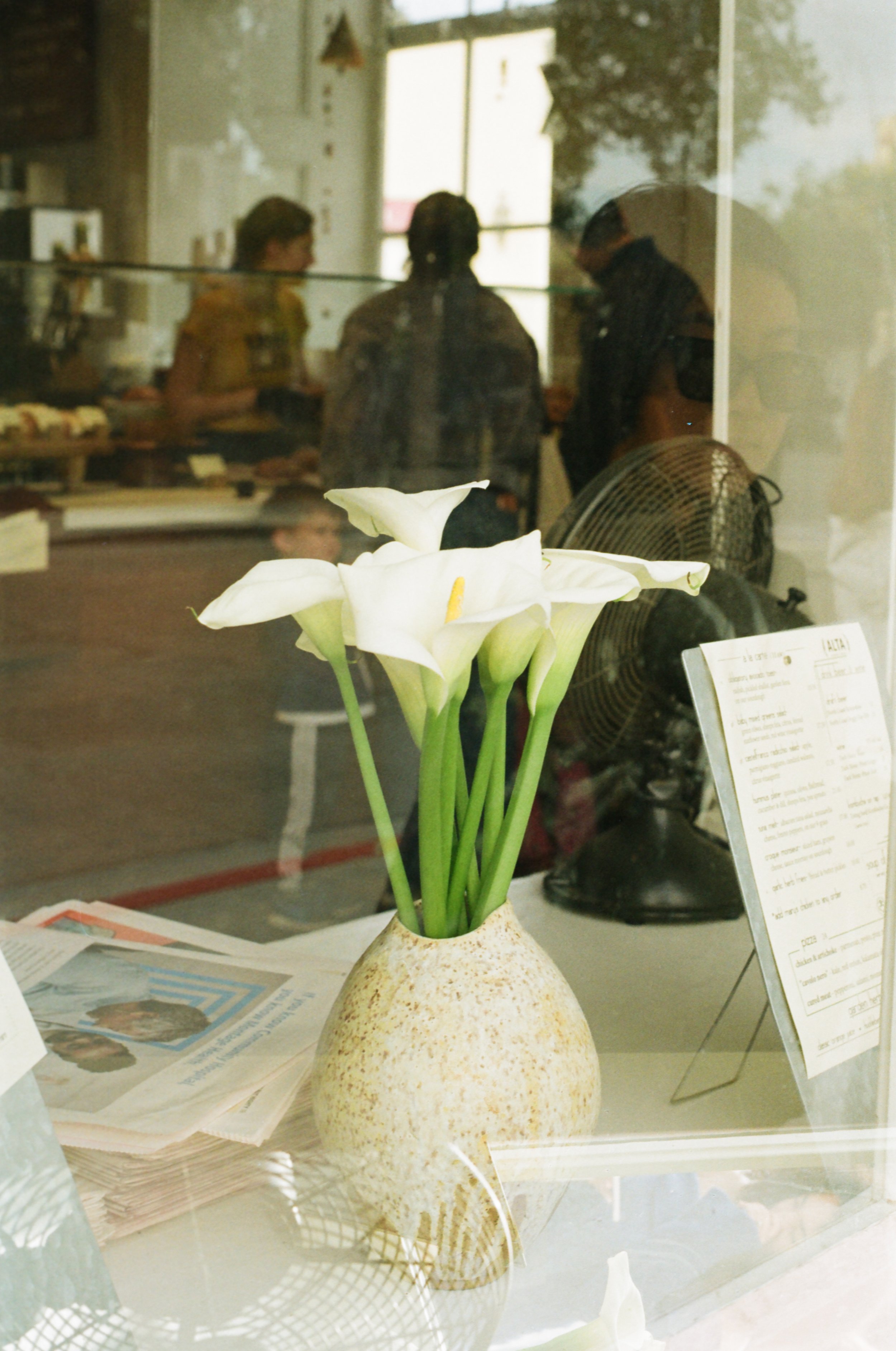 Shot with Olympus OM-10 35mm, Kodak Gold 200, 2026