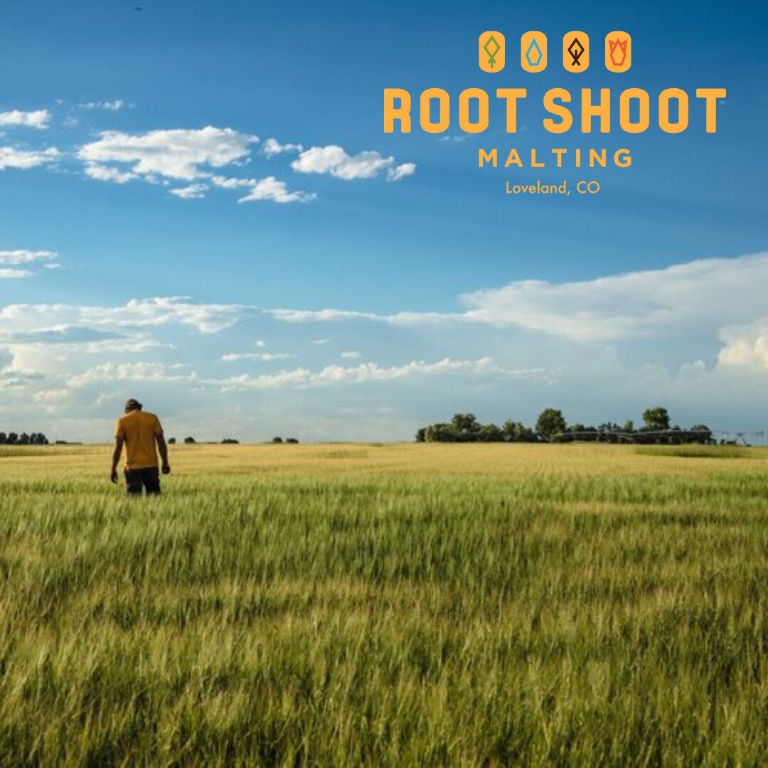 @rootshootmalting isn&rsquo;t your average farm and malthouse. They're dedicated to using what they have learned from past farmers and adding in today&rsquo;s most innovative agricultural equipment to make the least impact on the Earth and keep the l