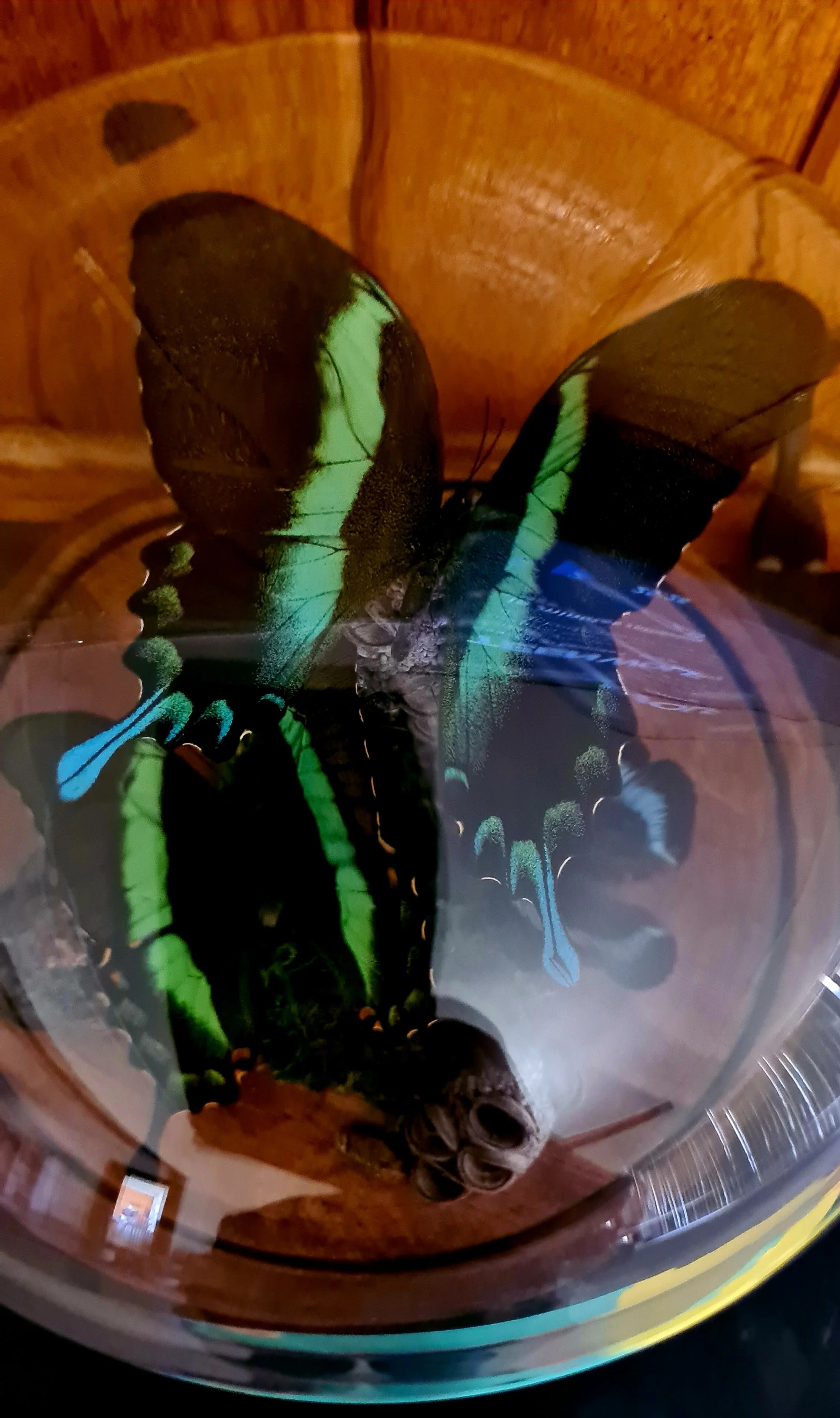 20230109_170507.jpg