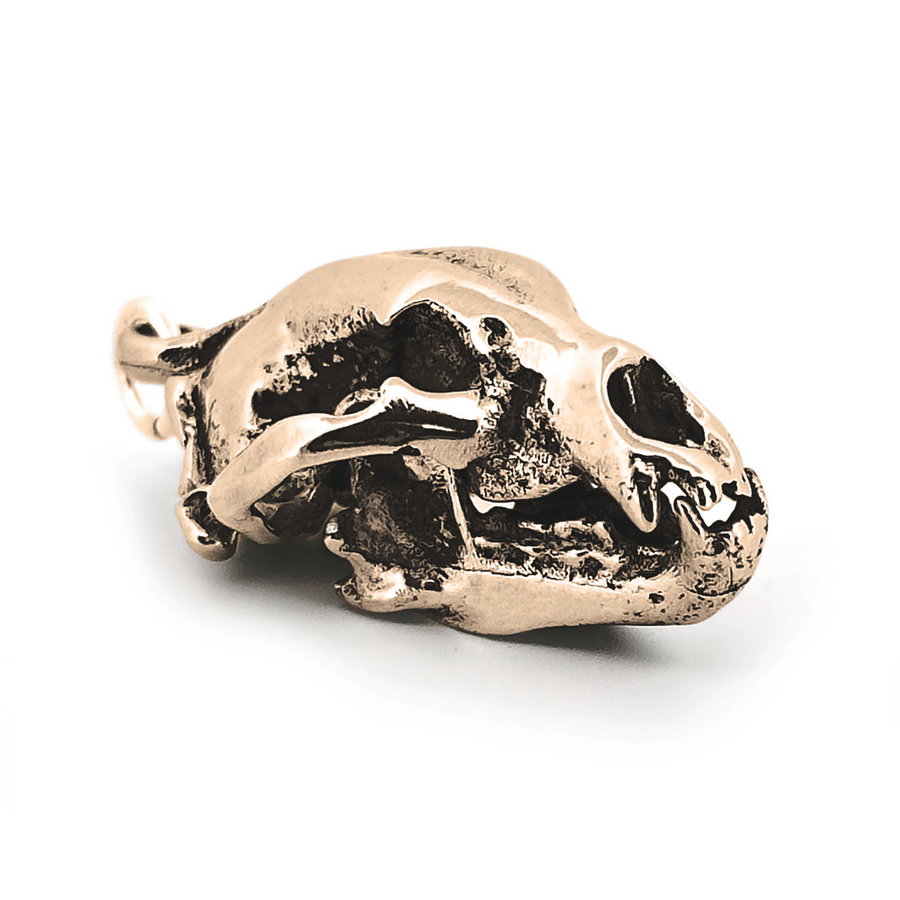 0005-YBP_a652208f-15b5-4be7-a286-0efbe0a99b33.png
