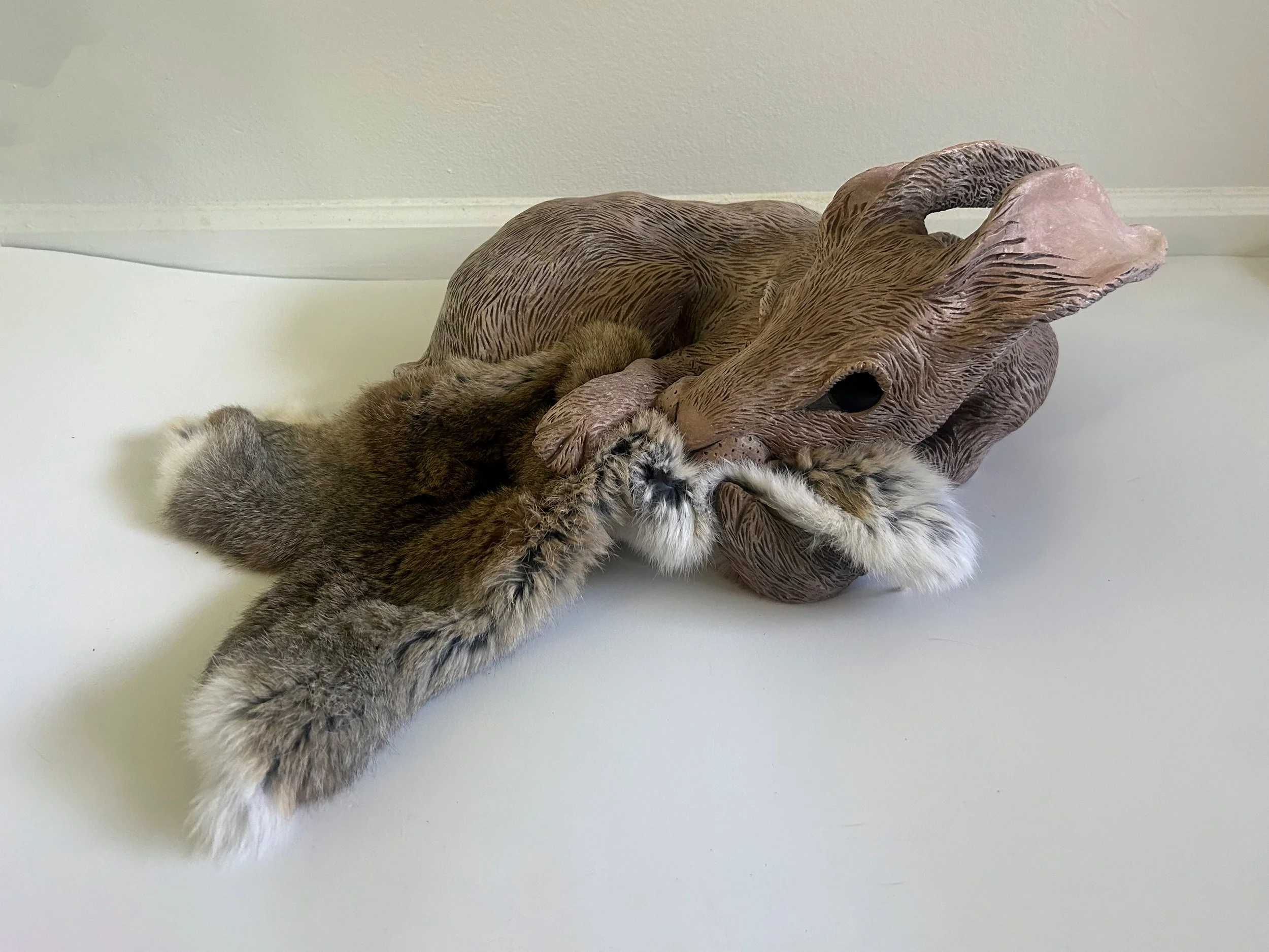 What You've Done Right.jpg