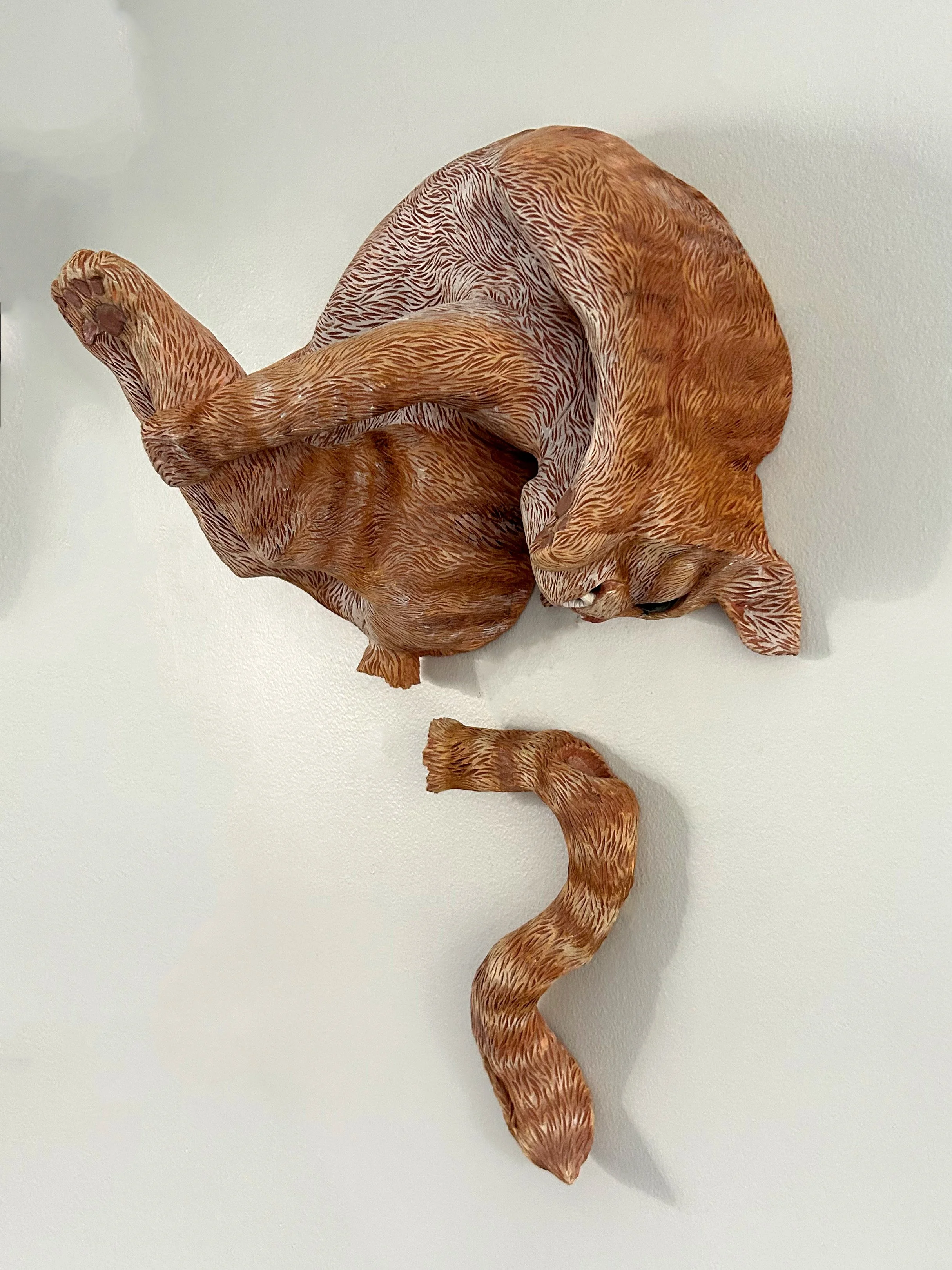 Chase Your Tail Right.jpg