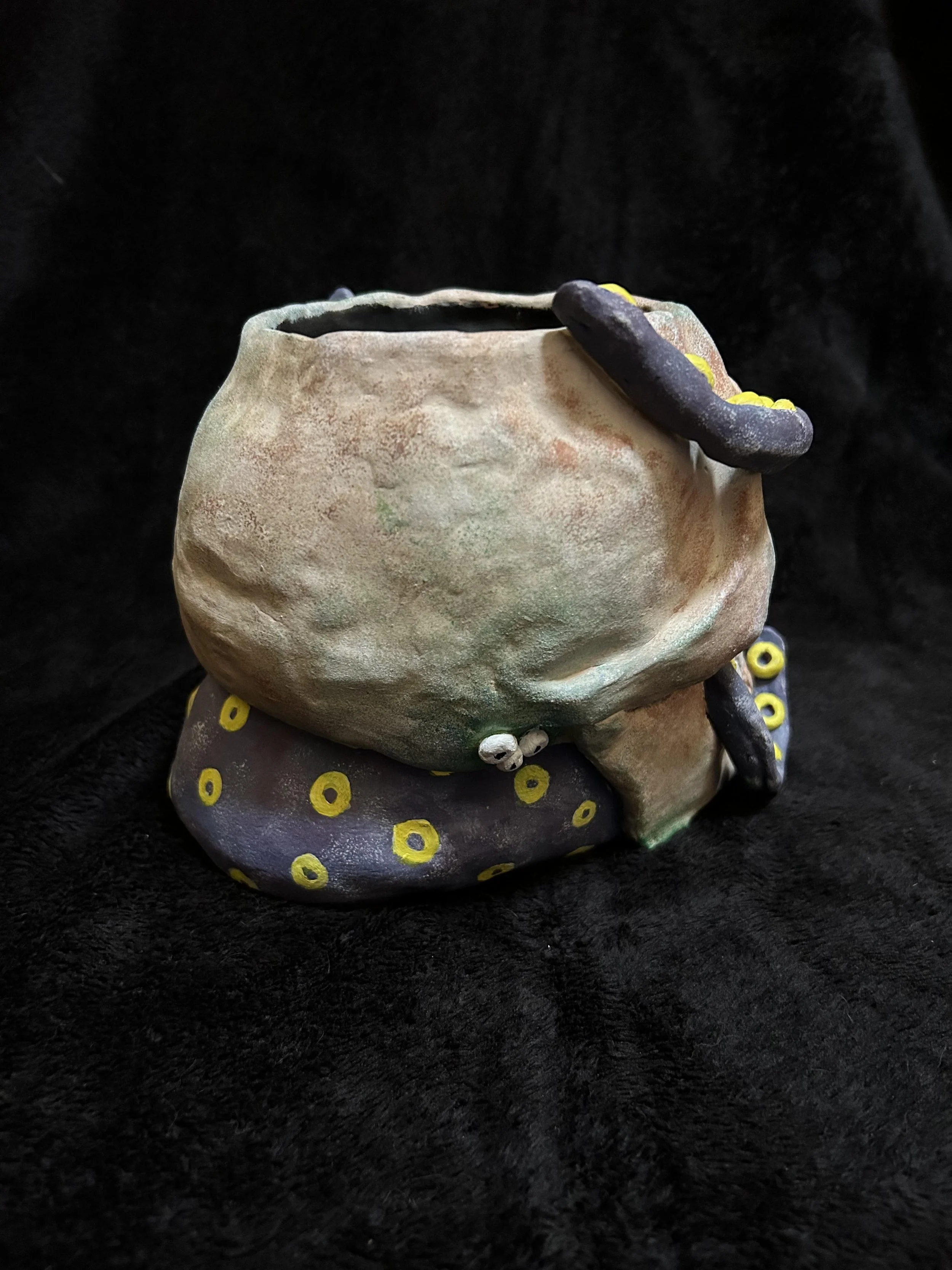skull pic 4.jpg