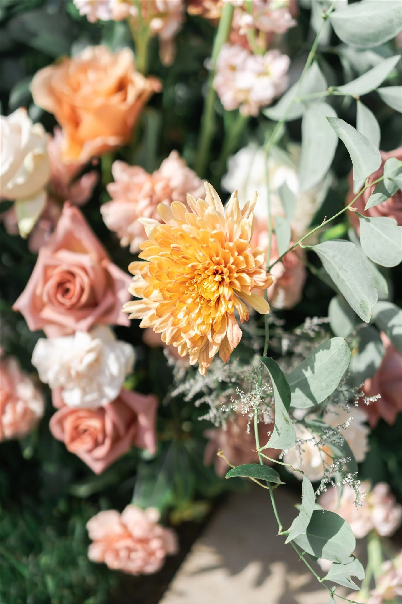 Swish & Click Photography - Madison & Jack's Wedding 525.jpg