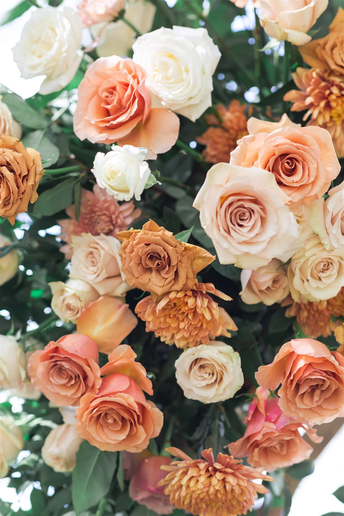 Swish & Click Photography - Madison & Jack's Wedding 526.jpg