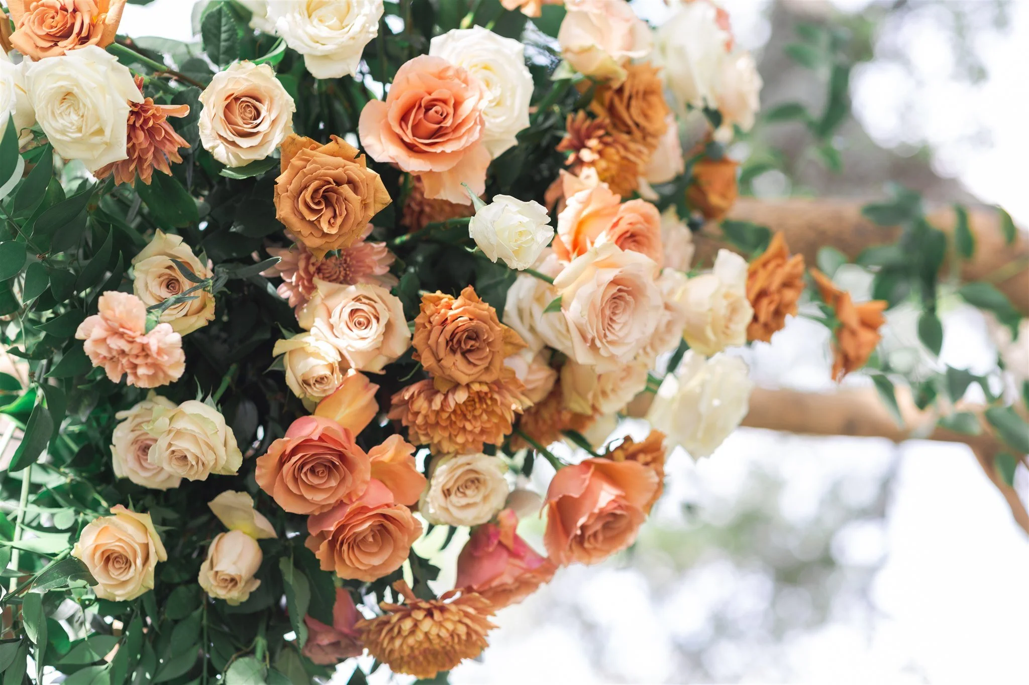 Swish & Click Photography - Madison & Jack's Wedding 527.jpg