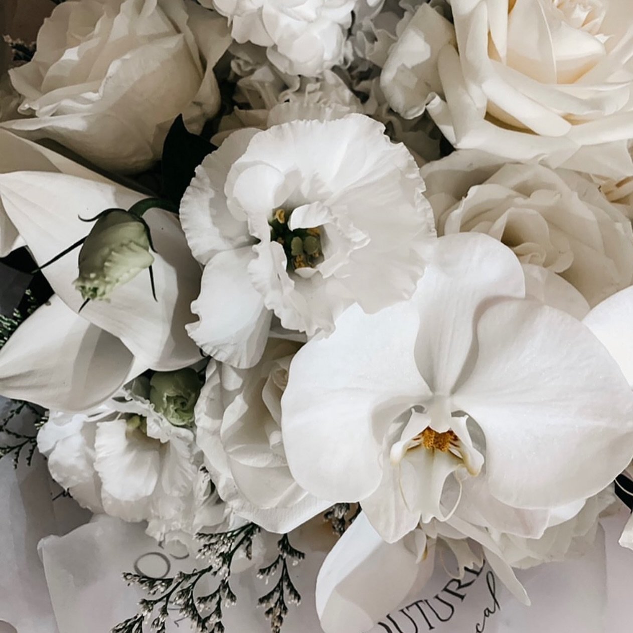 Now I&rsquo;m not usually one for following trends (I&rsquo;m more about staying true to my own creative style and vision of beauty) but so far, this year&rsquo;s wedding trends have not disappointed...
&amp; although they change like the seasons-the