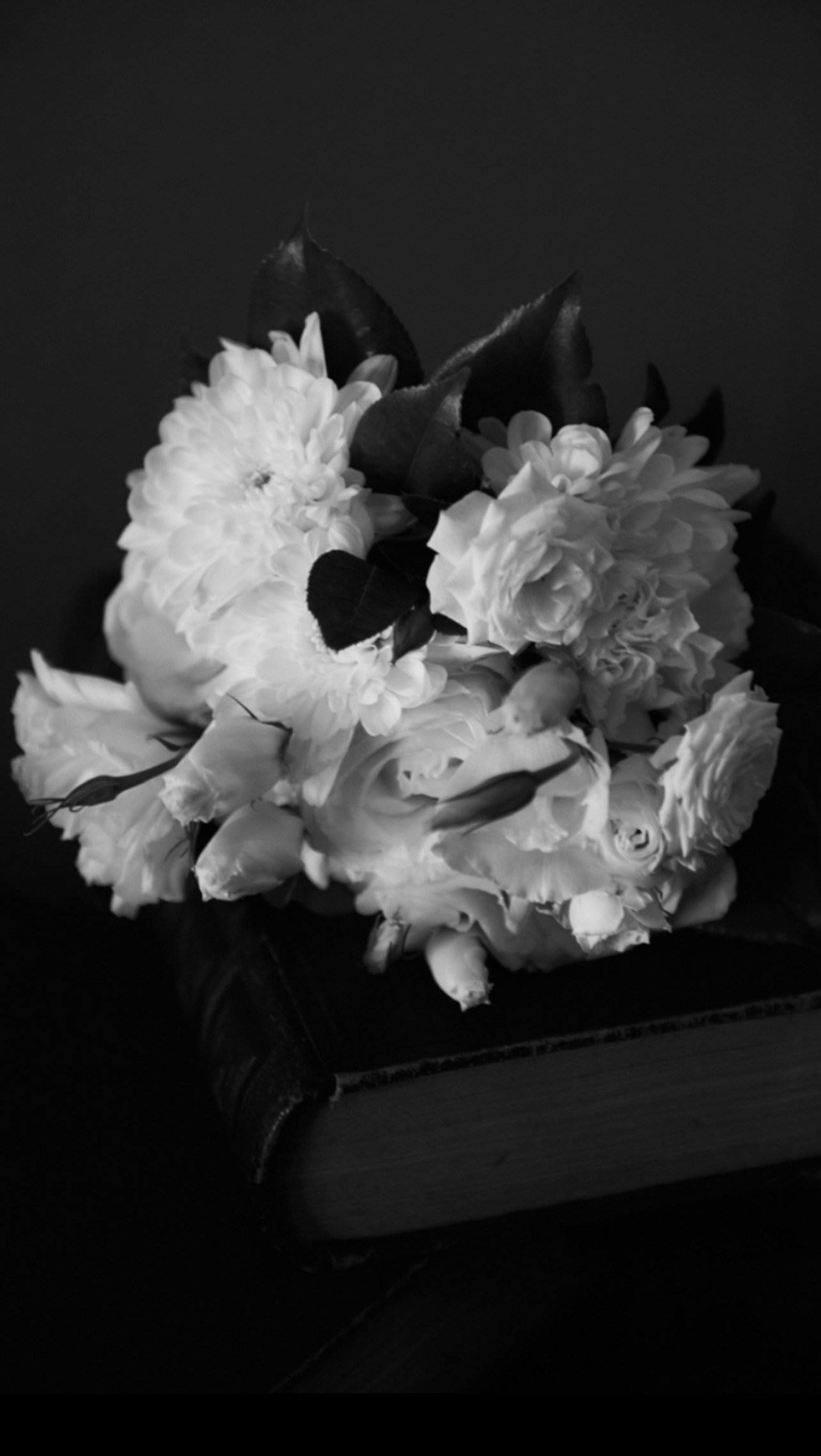 IMG_2589.jpeg