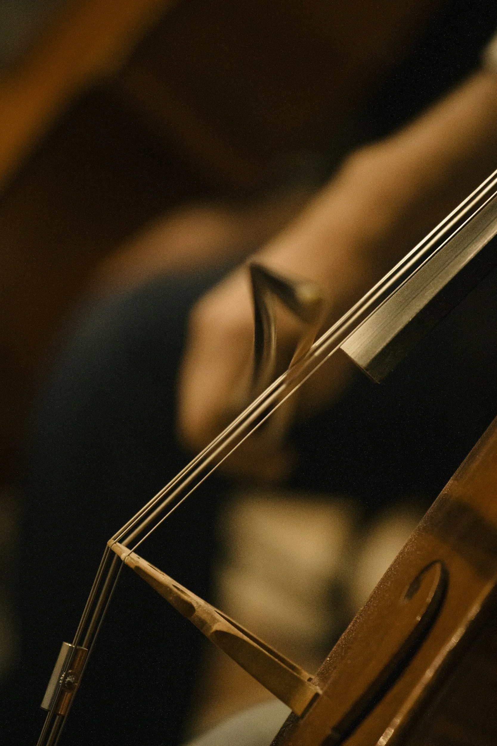 OPUS130 conducted by Leonard Slatkin: Hailstork, Britten, Dvorak 