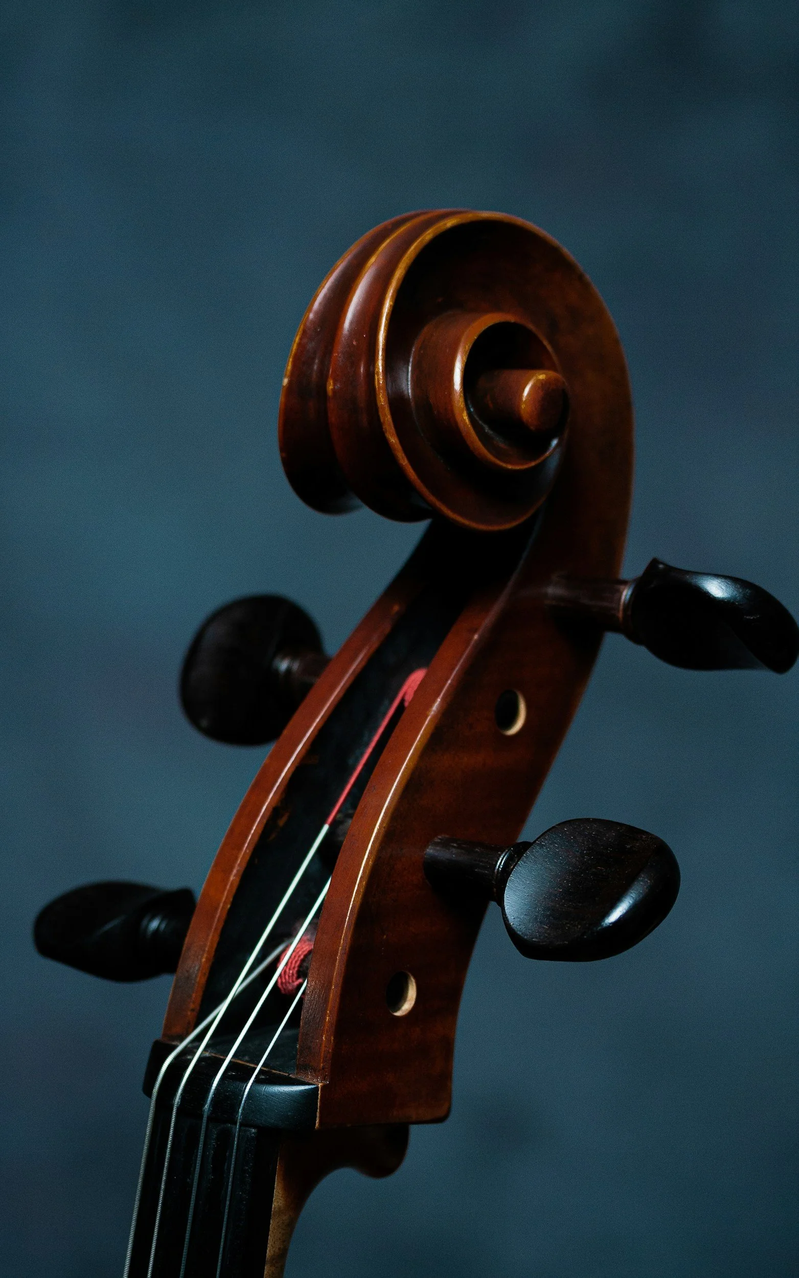 Evening Beethoven Concert