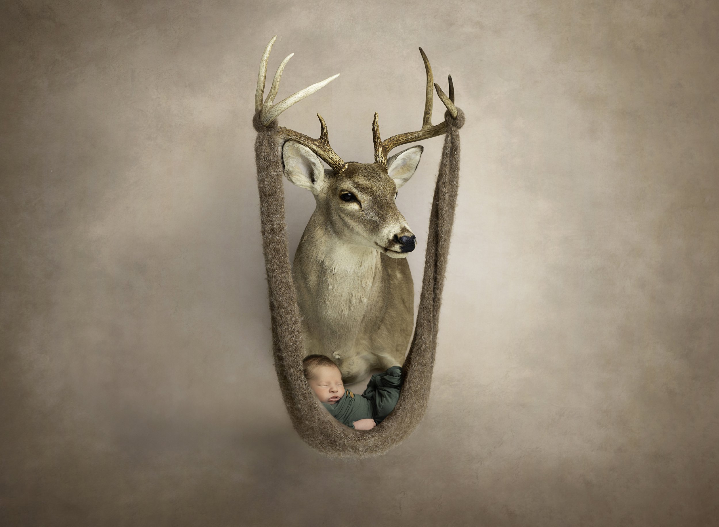 MountedDeerColterFINALEDIT.jpg