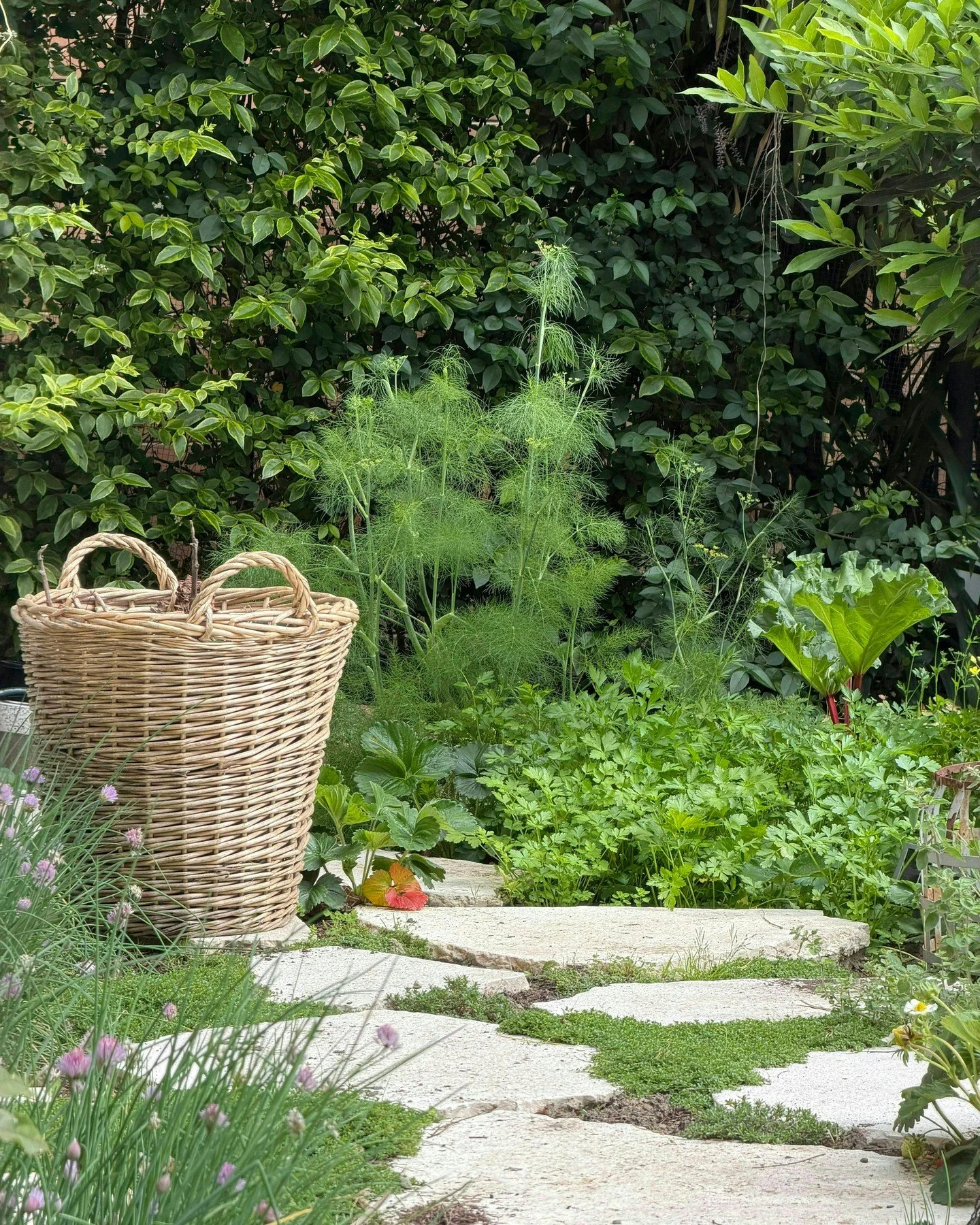 Stepping stones becoming one with the garden