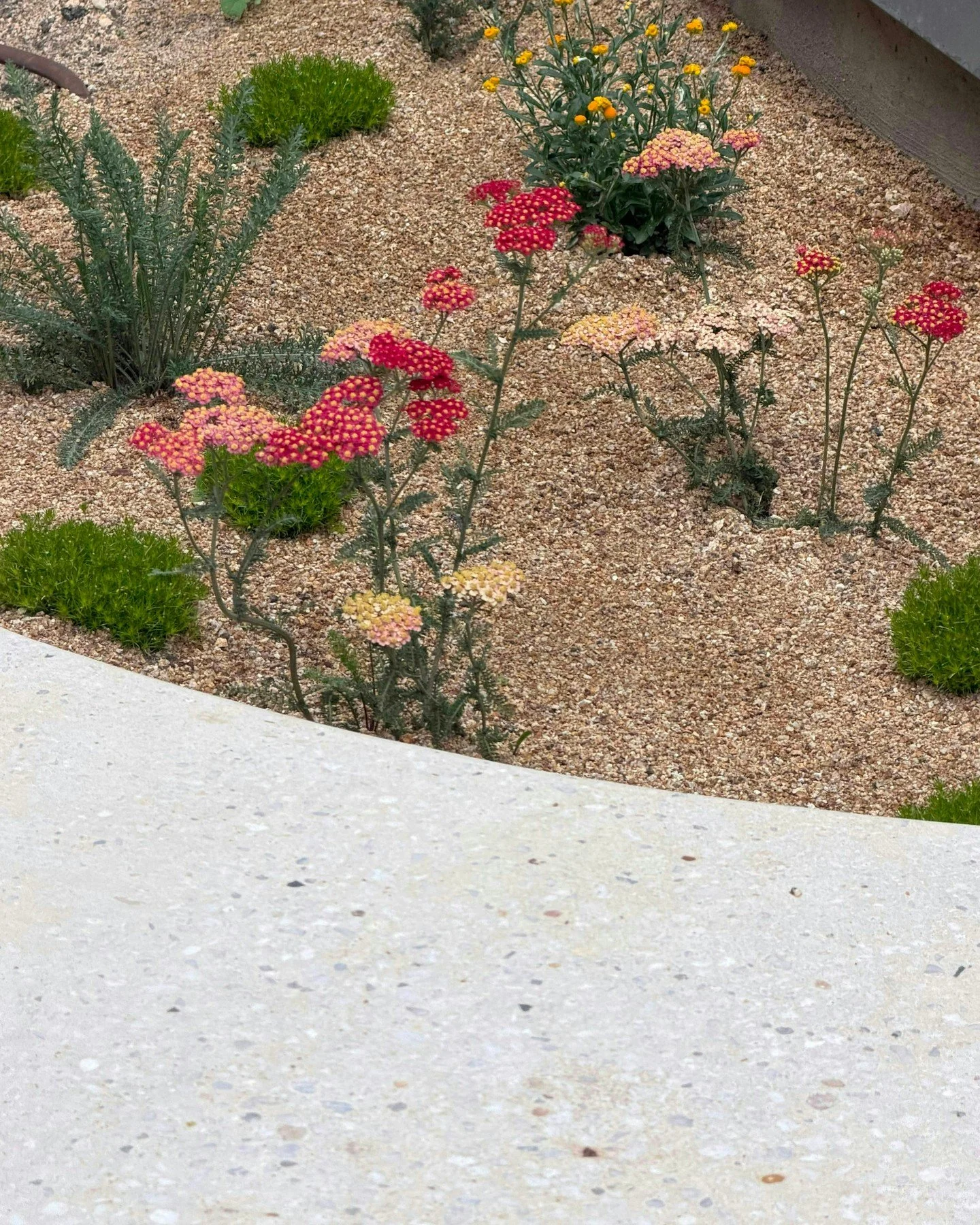 Flora placement