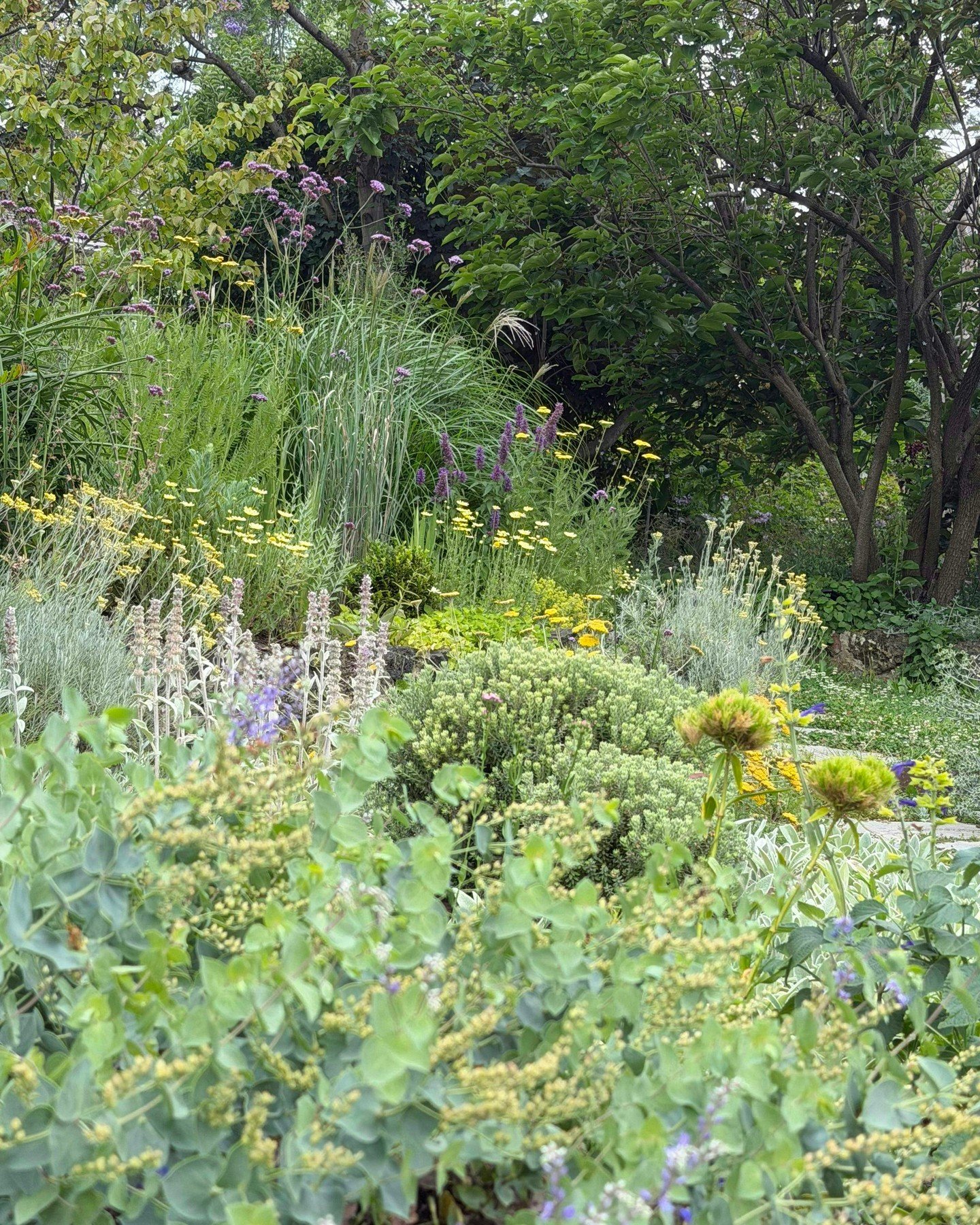 Using a combination of colours &amp; textures within the Mud Office test garden