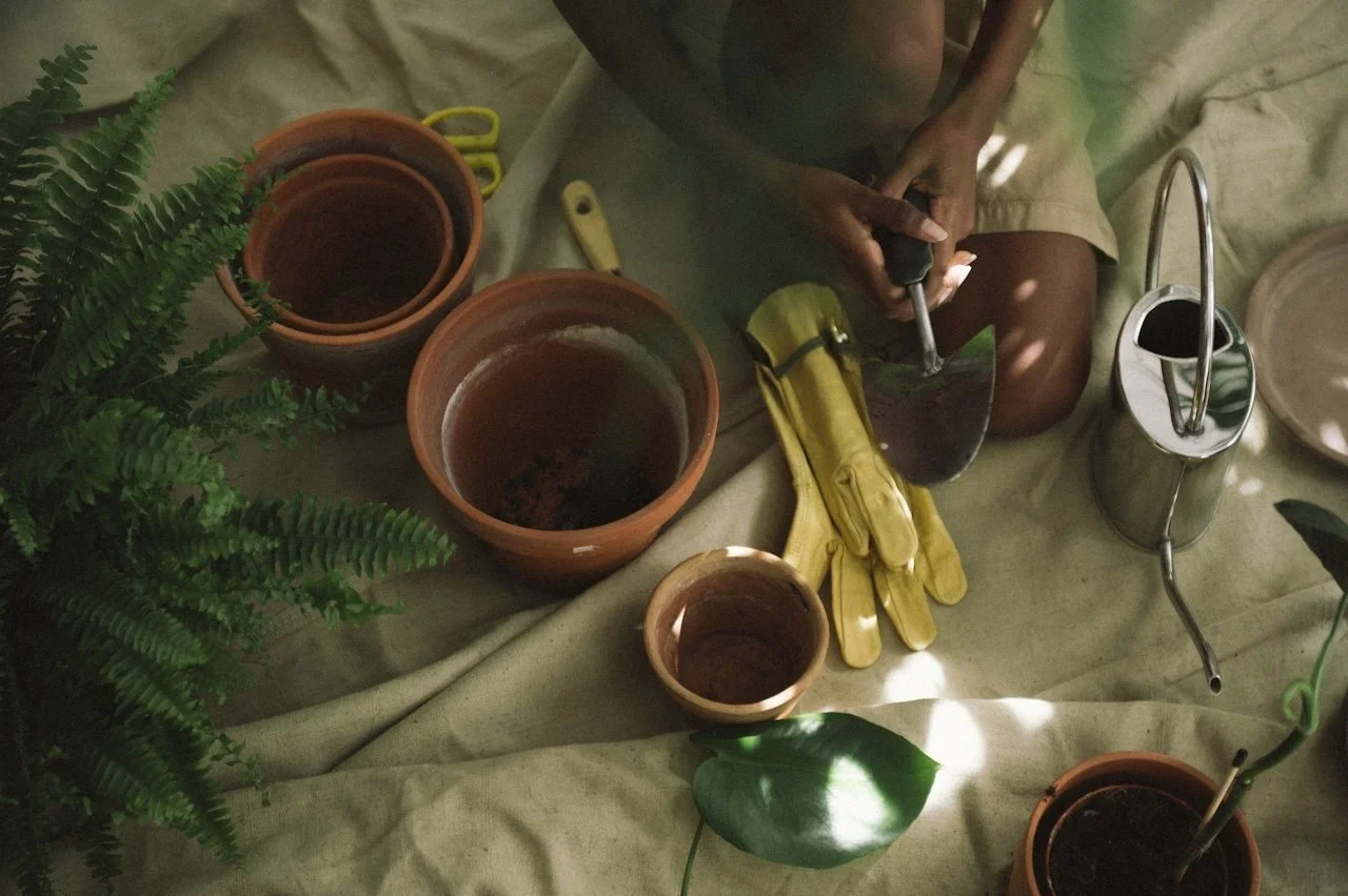Person planting a seed in a small pot with gardening tools, gloves, and empty pots on a surface with a green plant nearby and sunlight filtering through leaves.