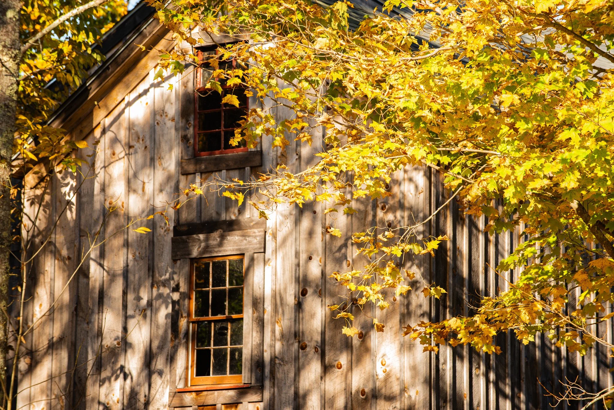 Watson Pond_Barn_WEB-.jpg
