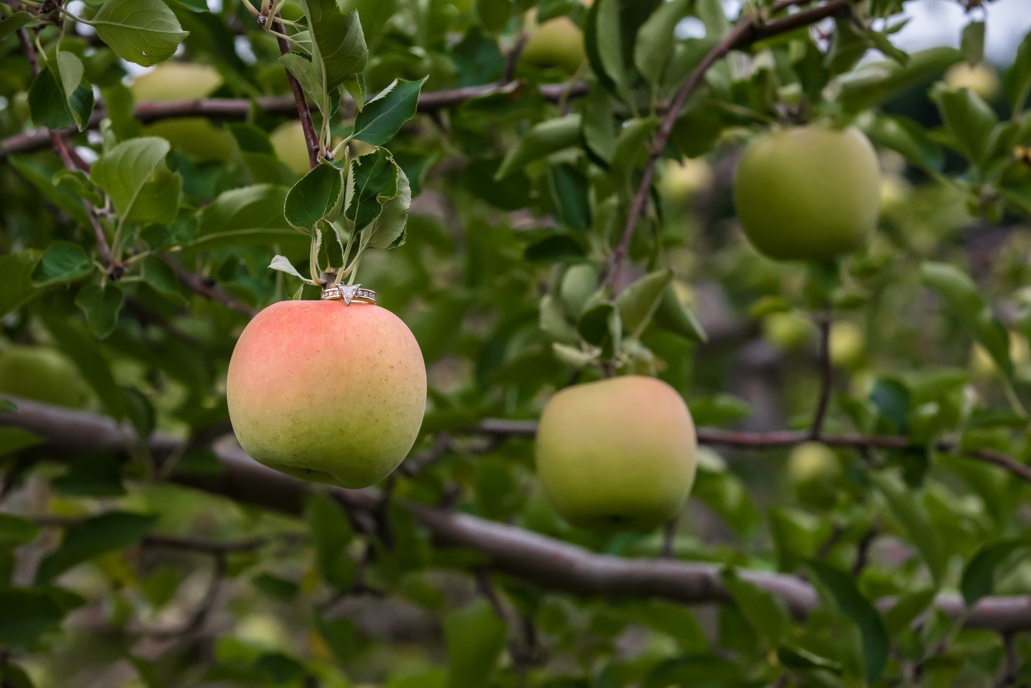 KM_Laforge Engagement 2018-9998.jpg