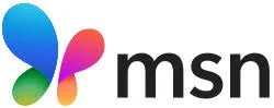 MSN logo featuring a colorful butterfly icon and the letters 'msn' in black text.