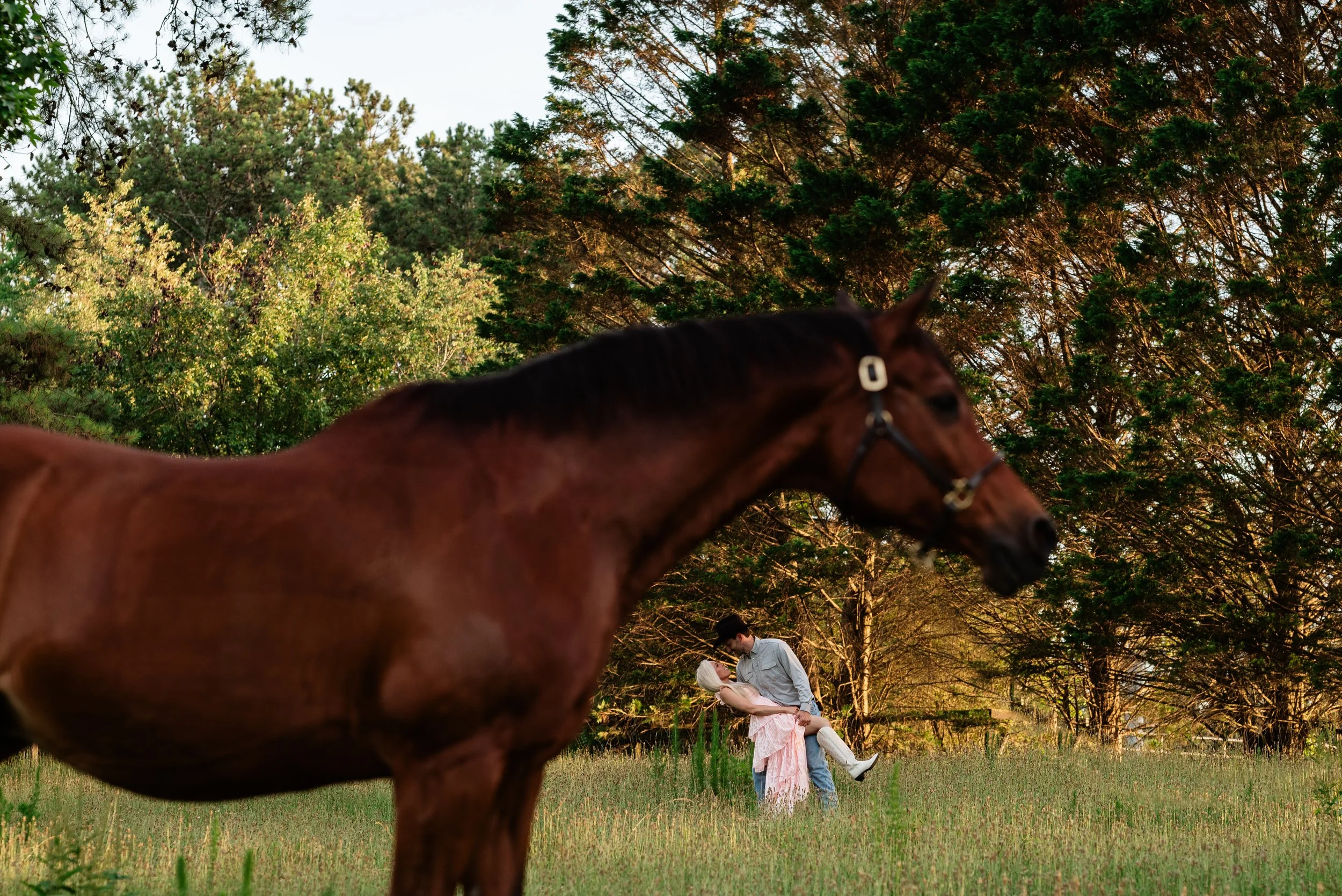 Close-up of a brown horse's head in an outdoor setting with green trees, a couple hugging in the background. A couple  taking photos with their horse.