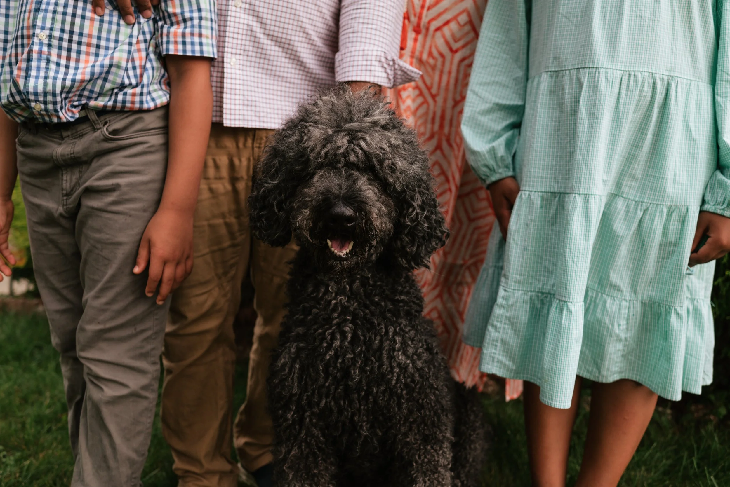 A group of children standing outdoors with a curly-haired black dog in the center.