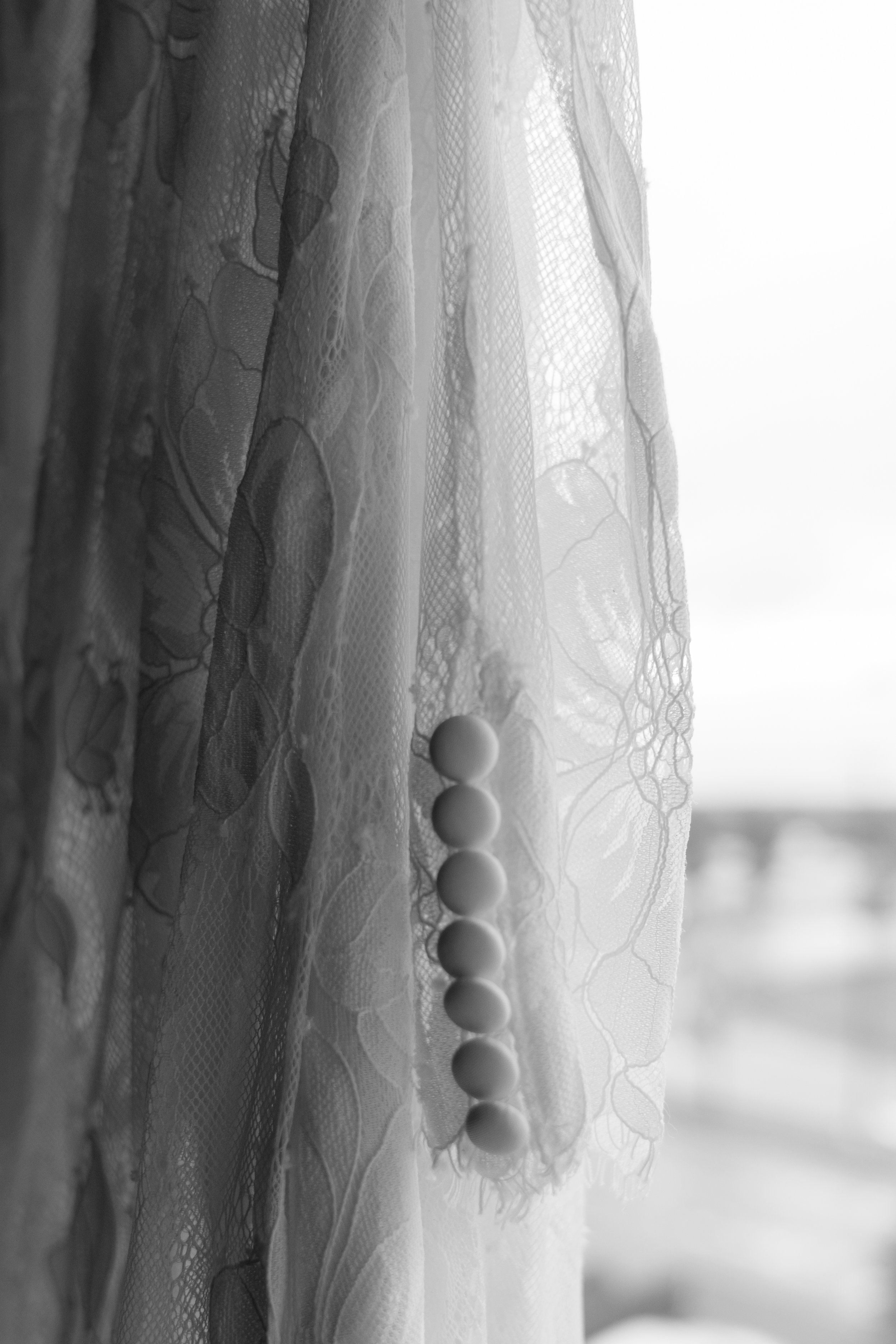 A7302321.jpg