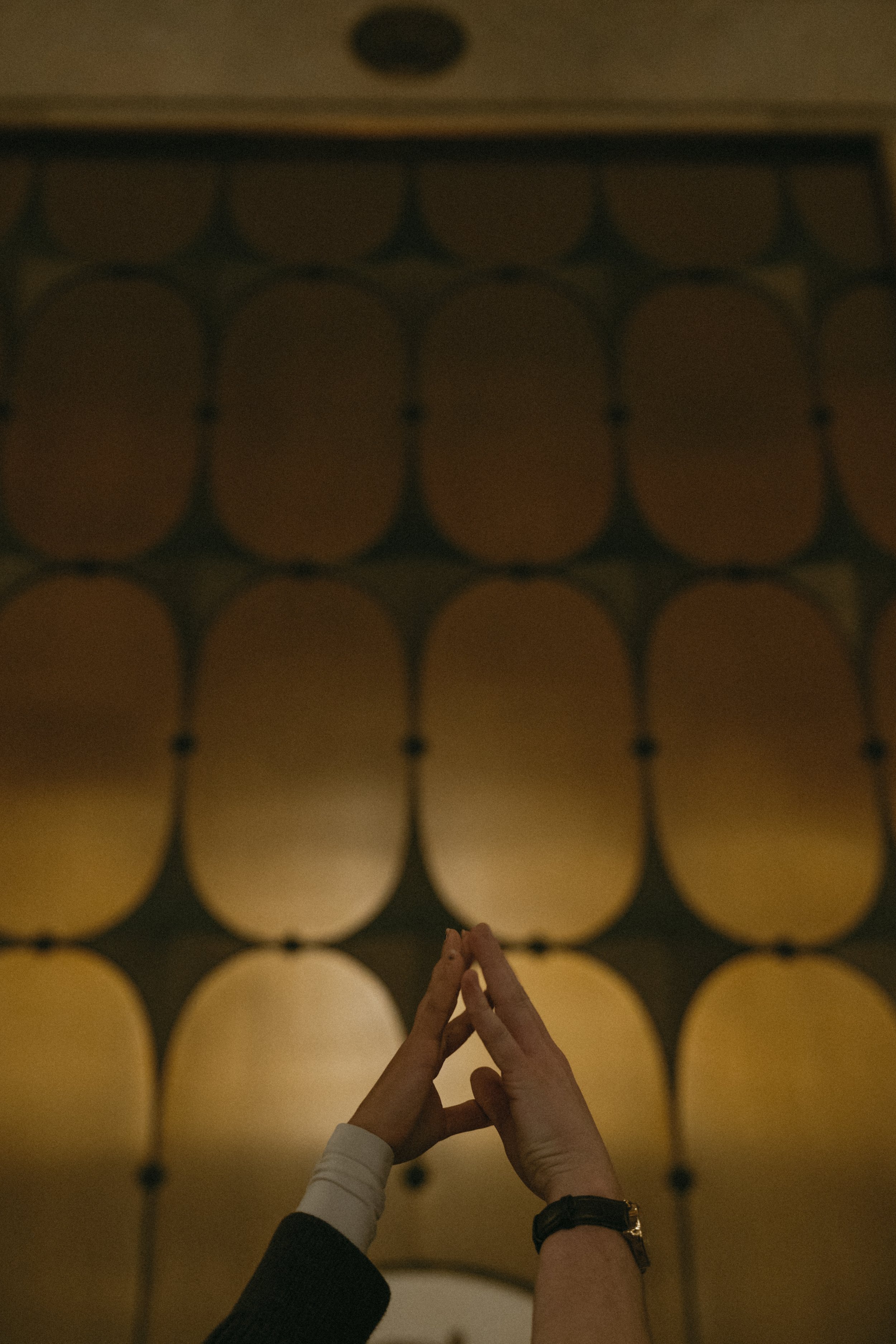 A7300012.jpg