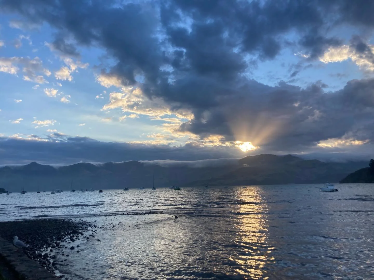 Massive gratitude to the whole team at @rawafestival for a beautiful and awe-some weekend. After an intense week and even with lots of mahi to do we still managed to chill and enjoy some beautiful moments in nature and in community. RAWA indeed! A de