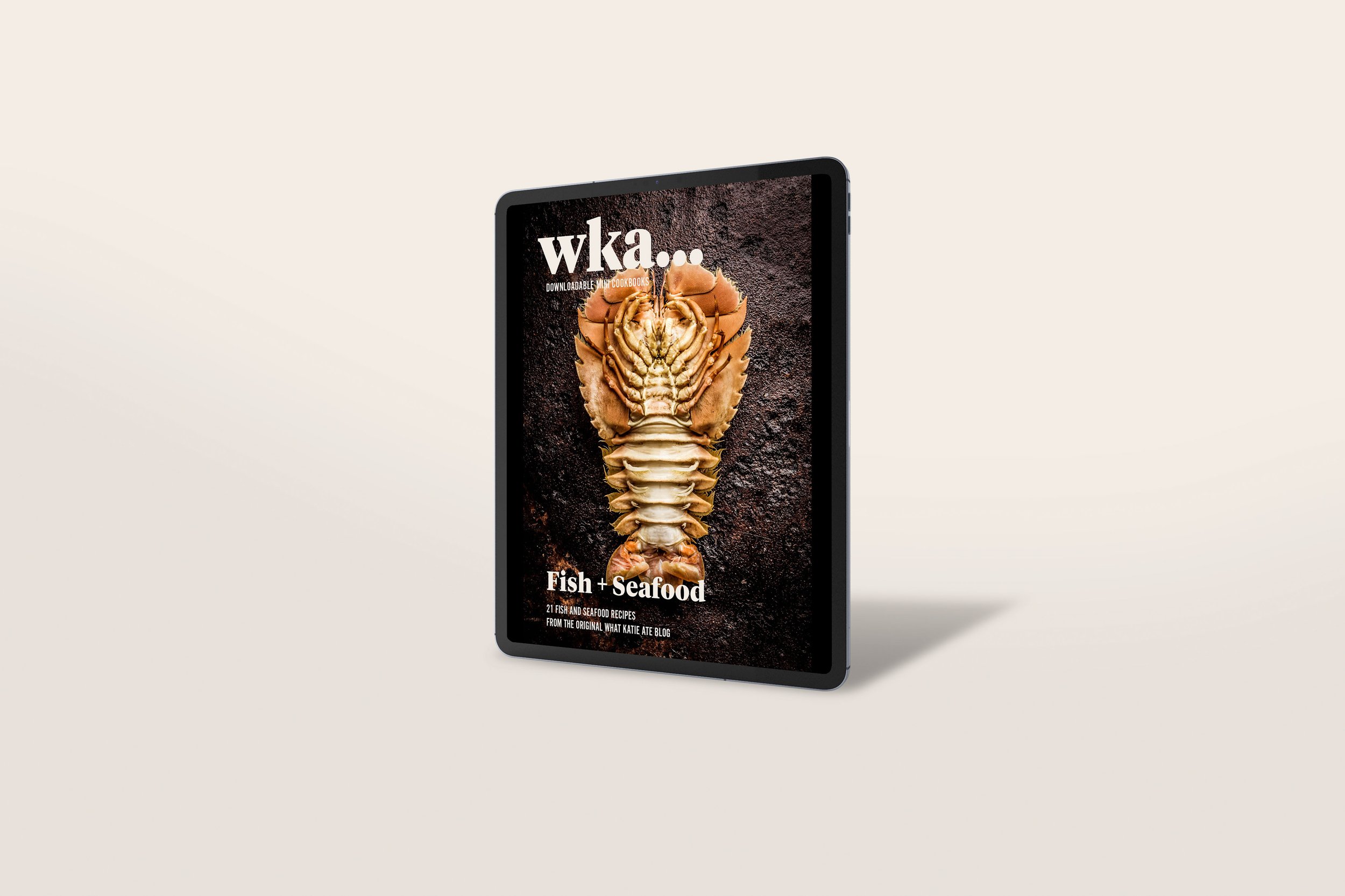 IPAD-JPEGS-READY-FOR-BLOG_FISH_COVER-2.jpg